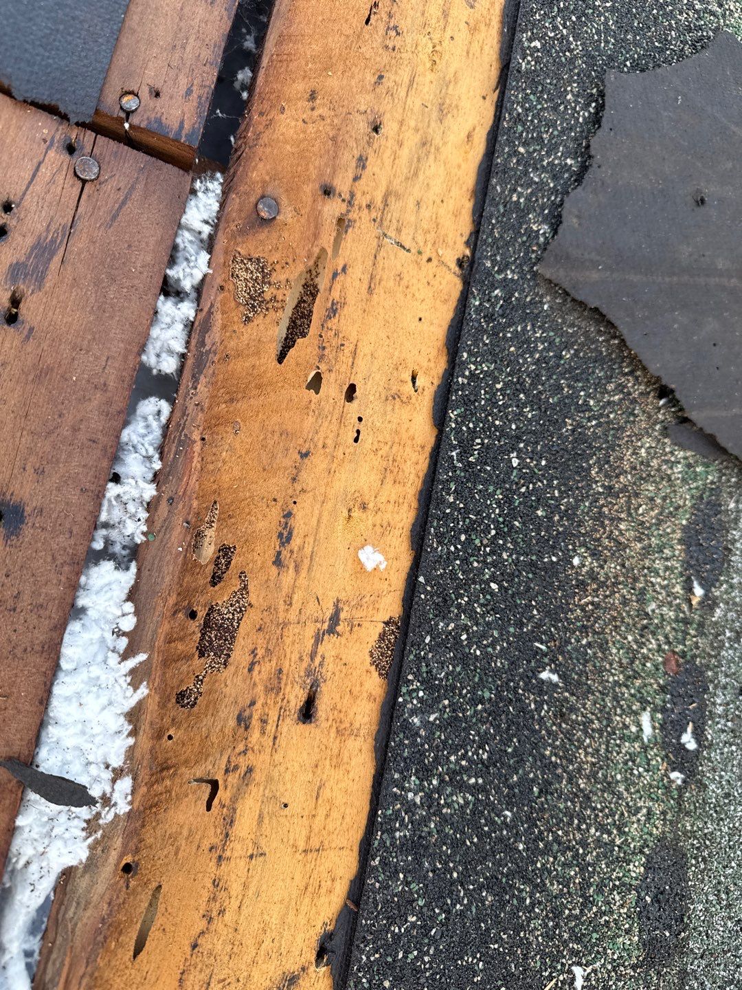 Project in St. Petersburg 33711 by Mitchell Roofing Company LLC 