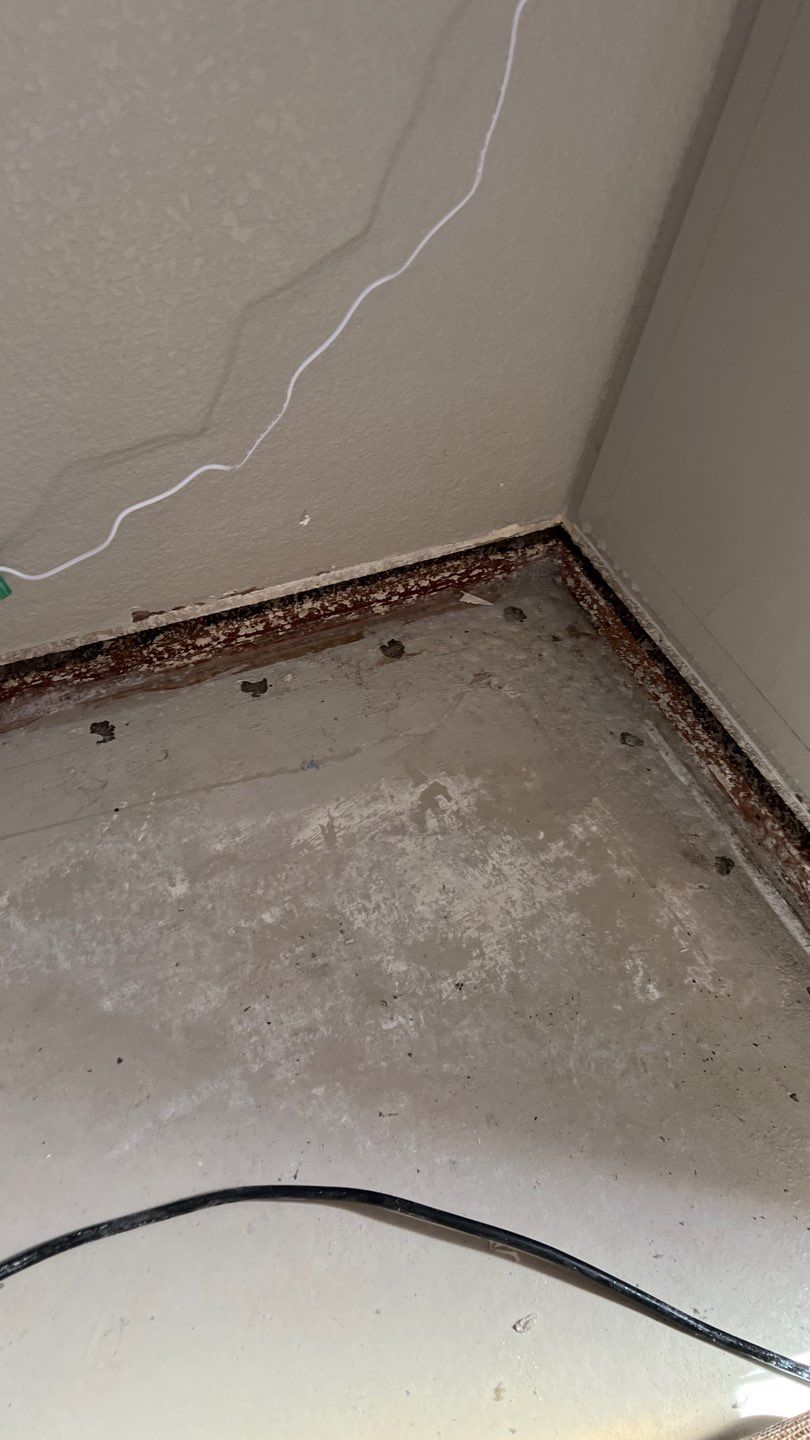 Mold Remediation  by Accountable Home Services