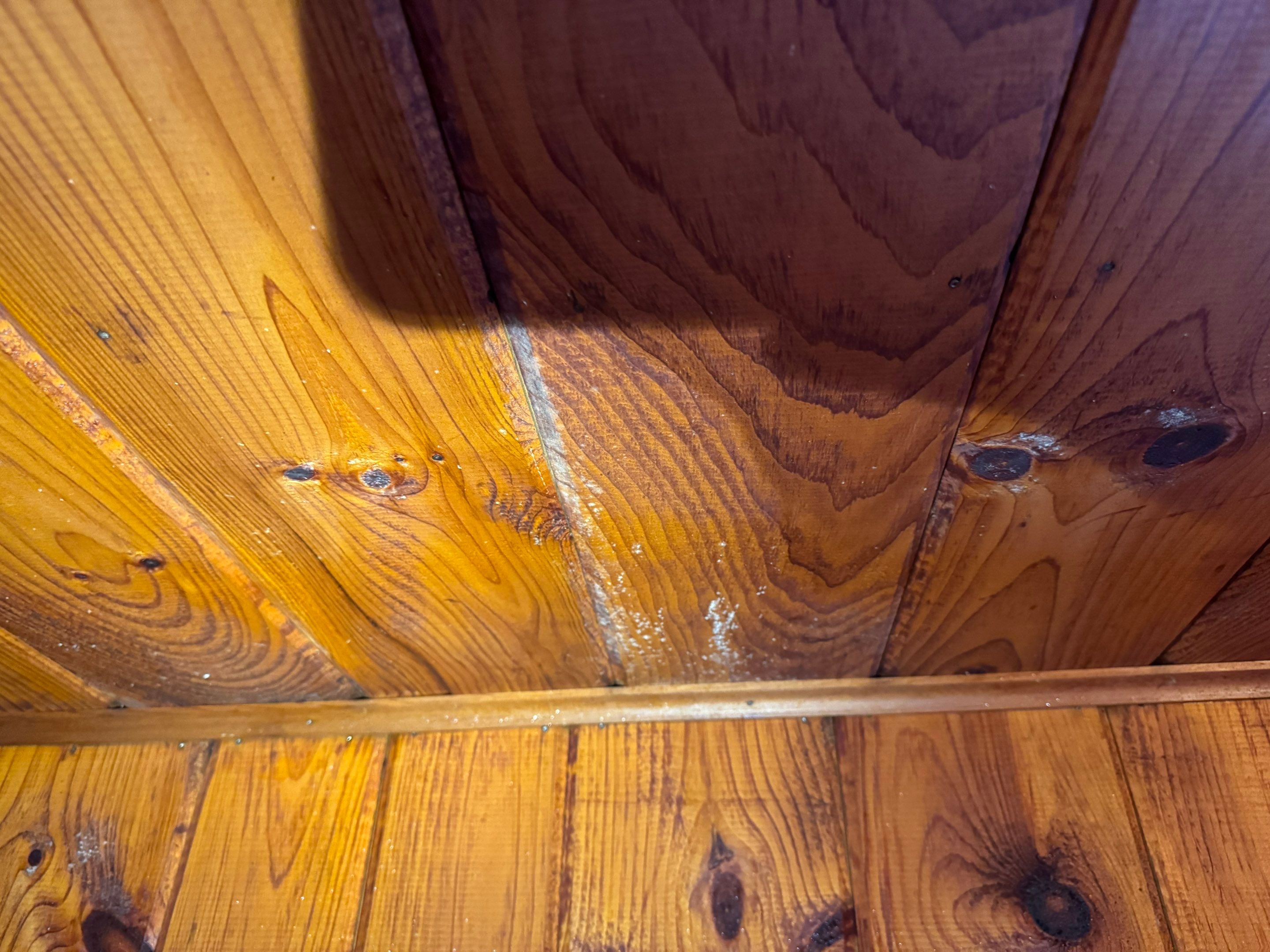 Entire Home Remediation by Home Guarantee, LLC