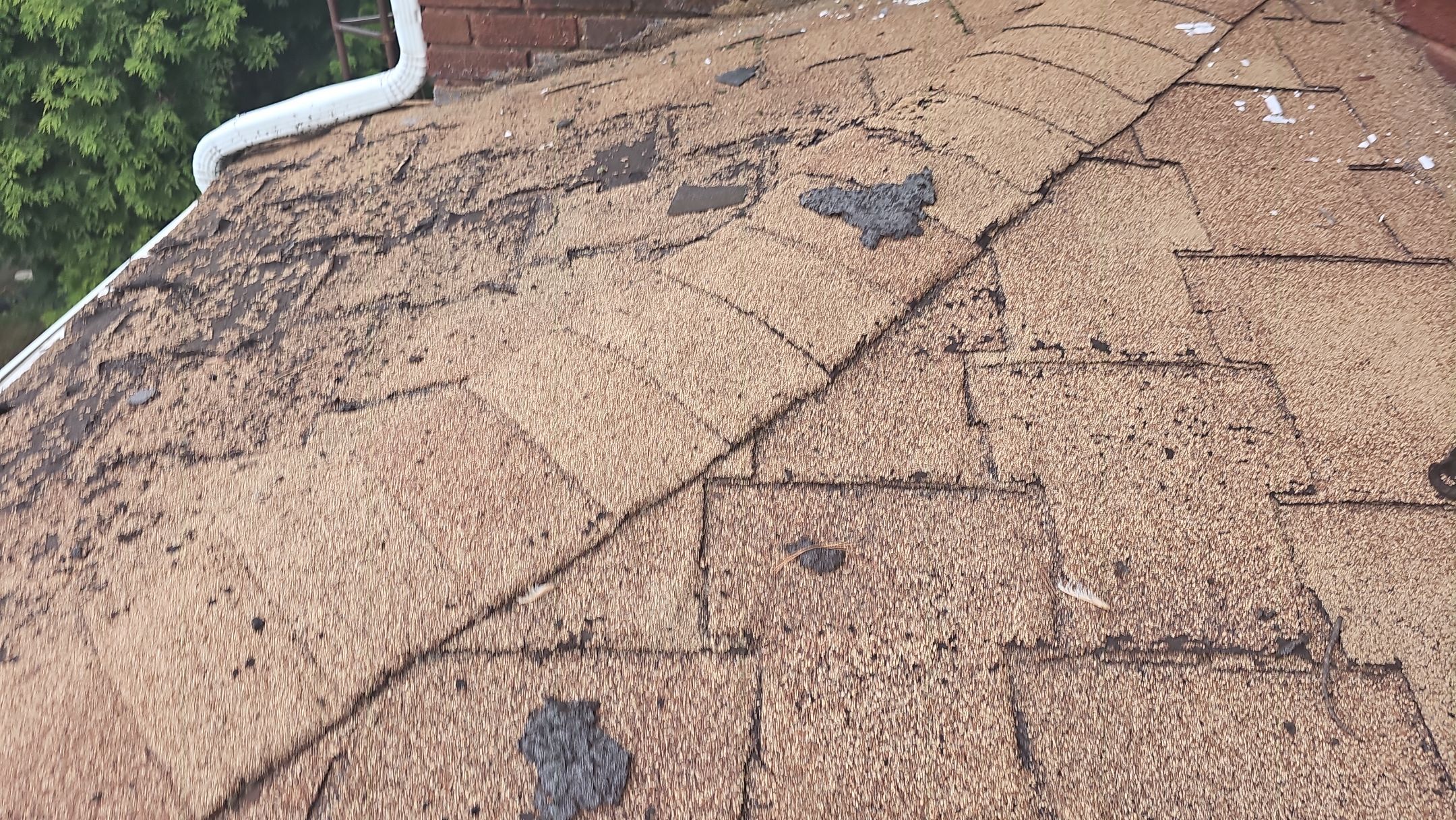 ATLAS PINNACLE COLOR: MORNING HARVEST DRIP EDGE: MUSKET BROWN by Eagle Eye Roofing