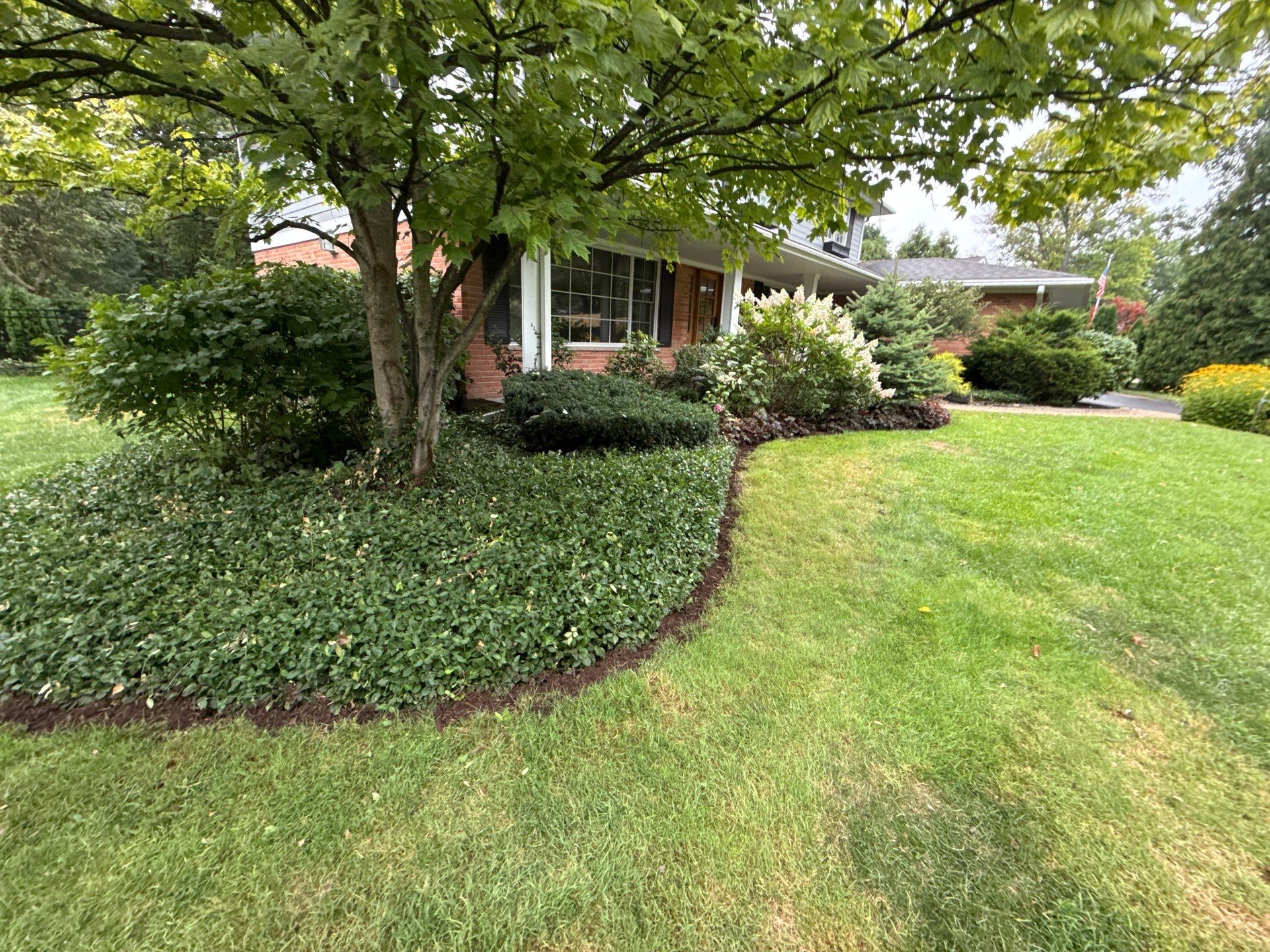 Christopher B. - Glenview, IL by A&N