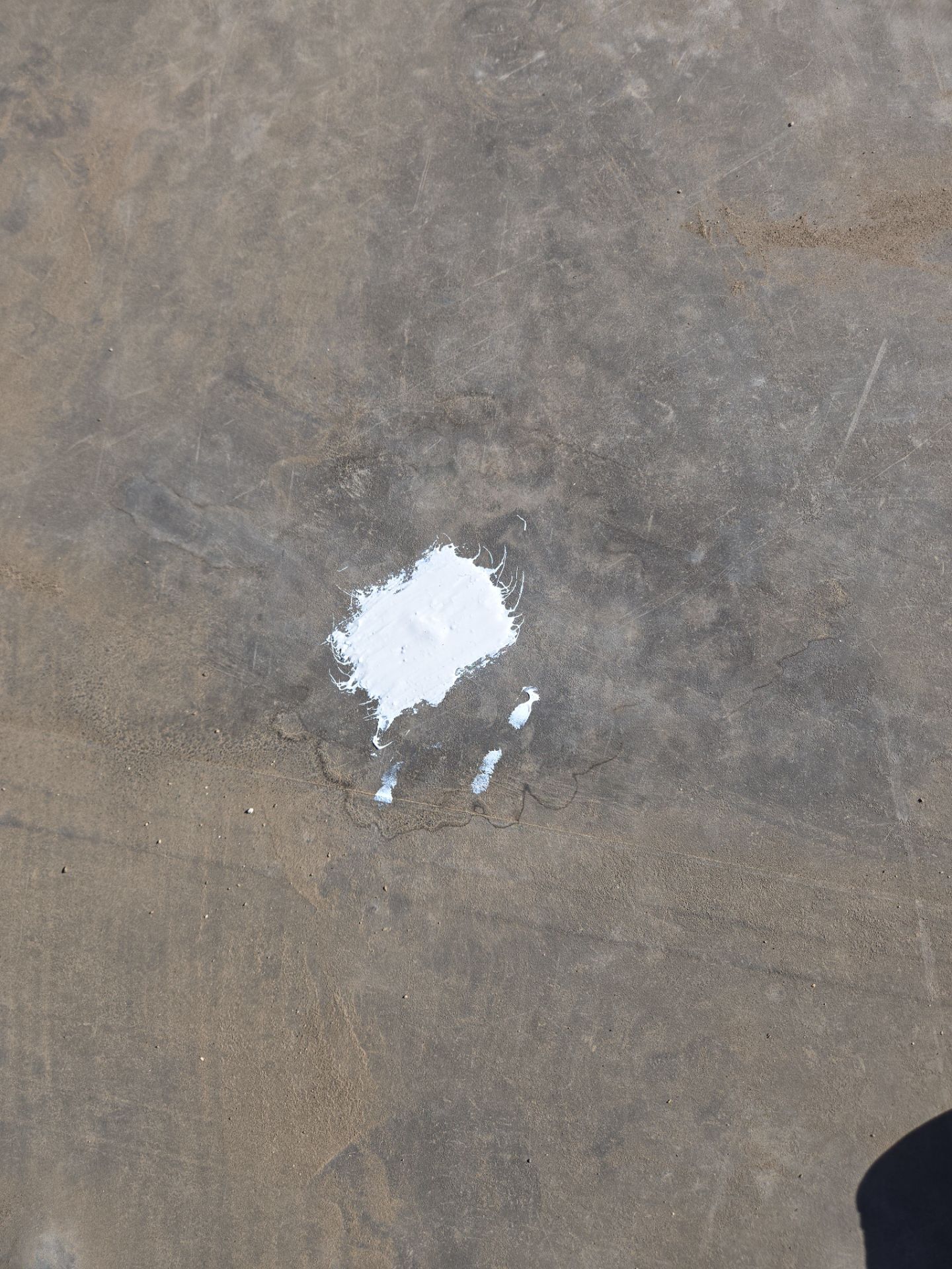 Single-Ply Roofing System – Greenleaf Commercial by Tillotson Enterprises