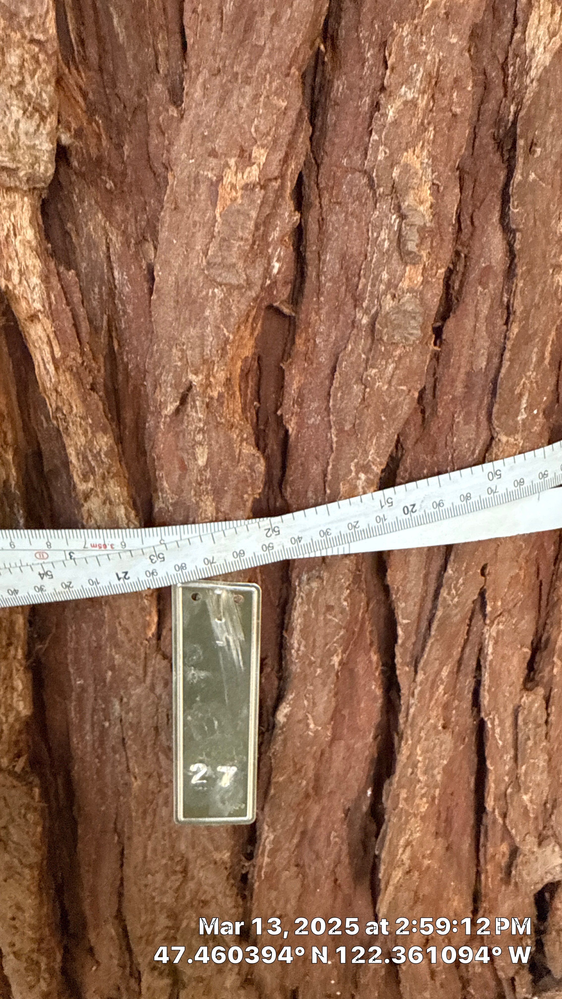 π Arborist Reporting & Tree Surveying β Code Compliance Project by Sound Tree Care LLC