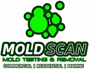 Logo for Mold Scan