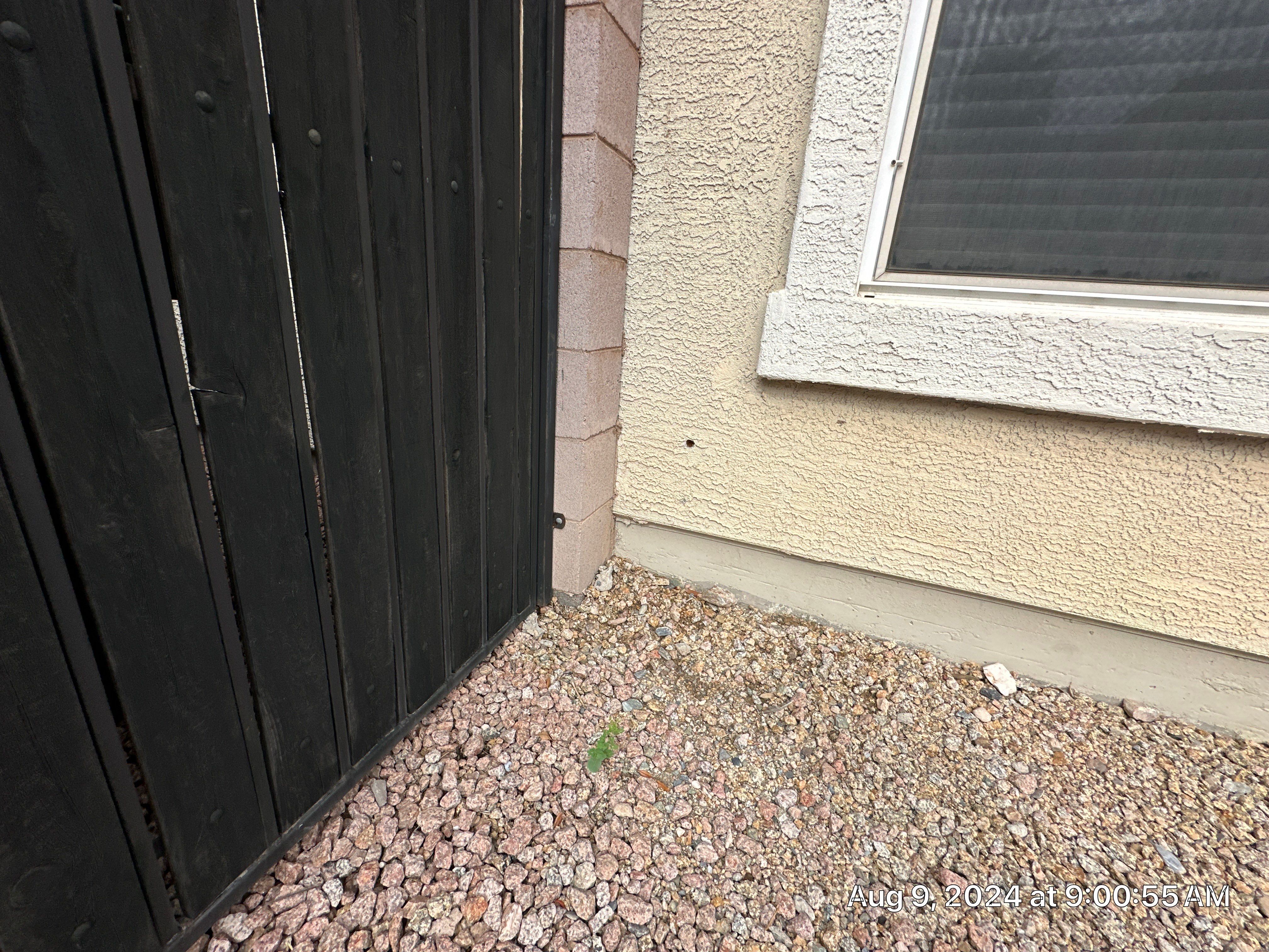 Exterior Painting - Phoenix by Crash of Rhinos Painting & Garage Floors