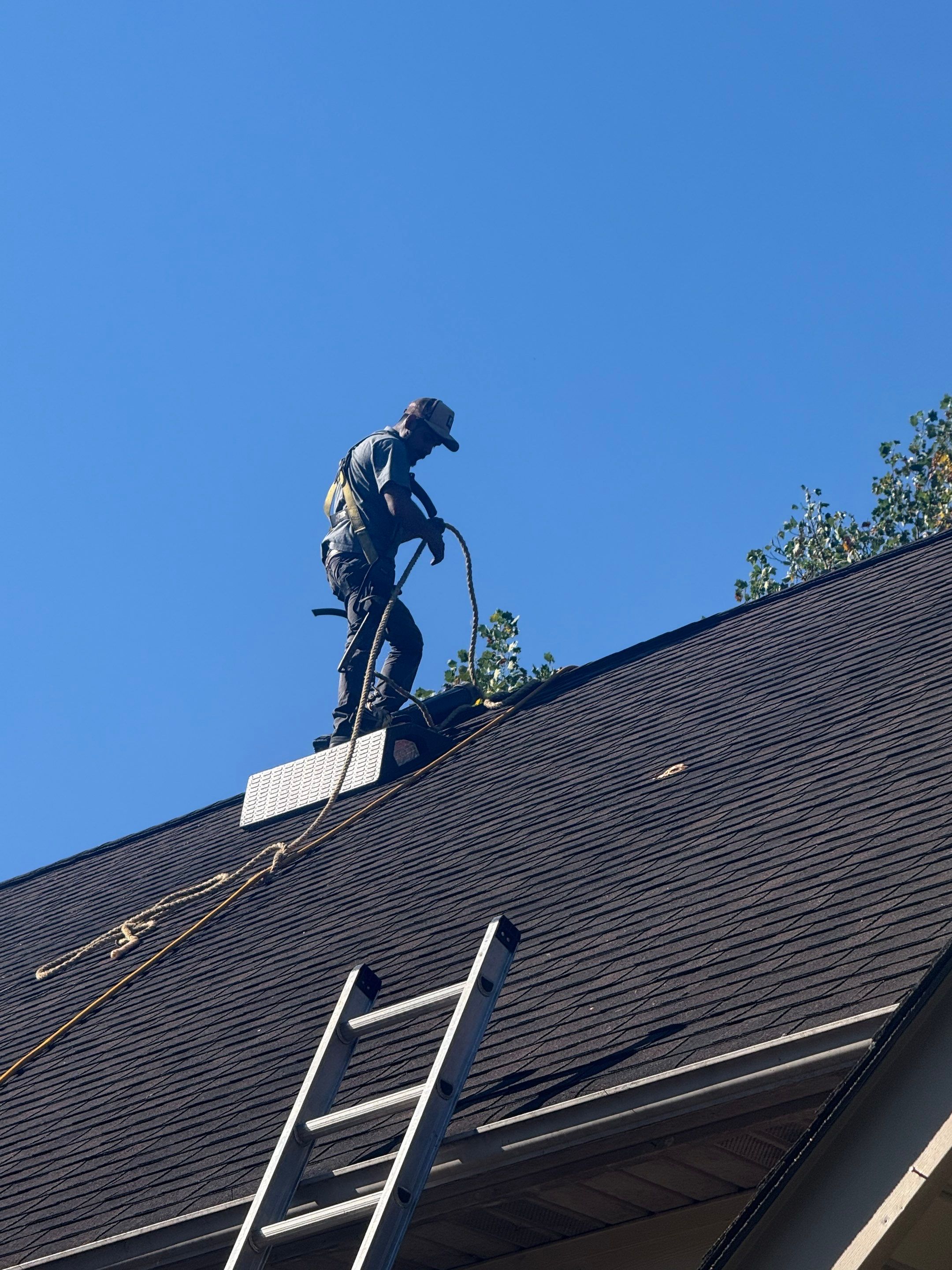 Residential Roof Rejuvenation and Shingle Repair in Weaverville by Bright Home Connections