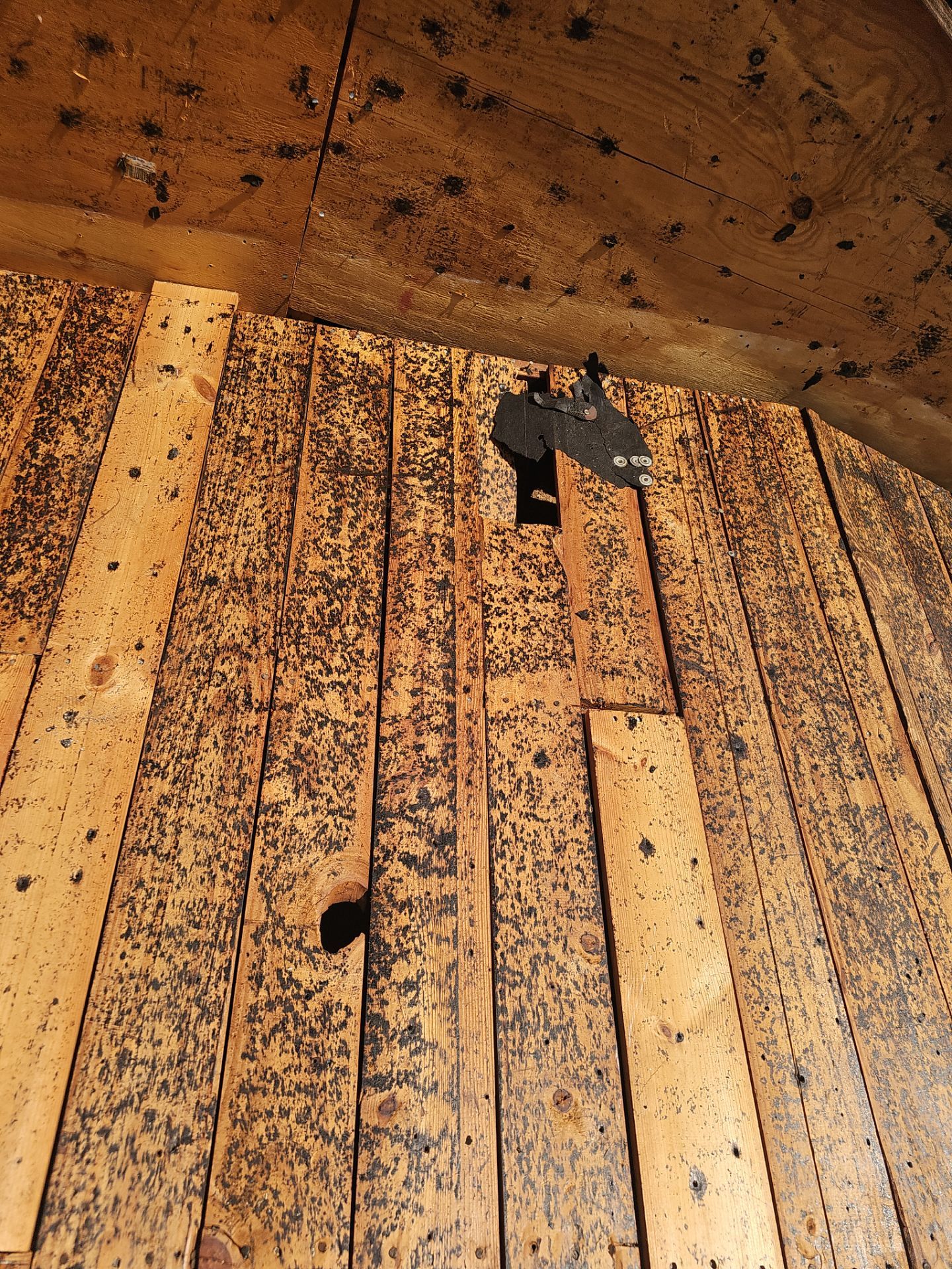 Project in St. Petersburg 33702 by Mitchell Roofing Company LLC 