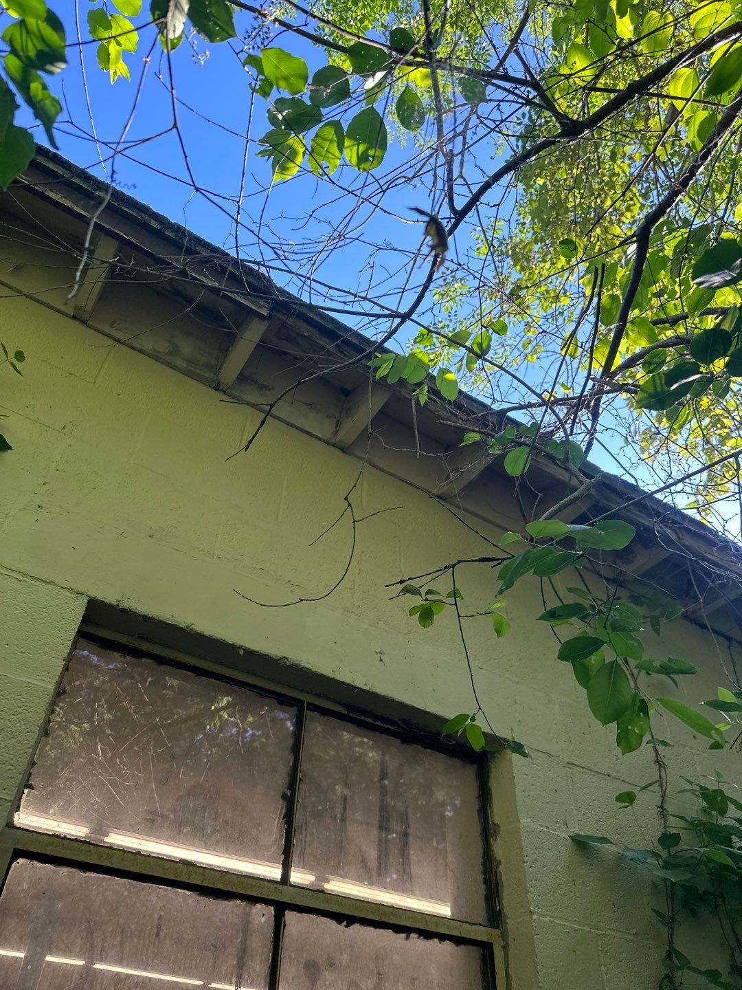 Residential Roofing Installation using Certainteed  by 757 EXTERIORS INC