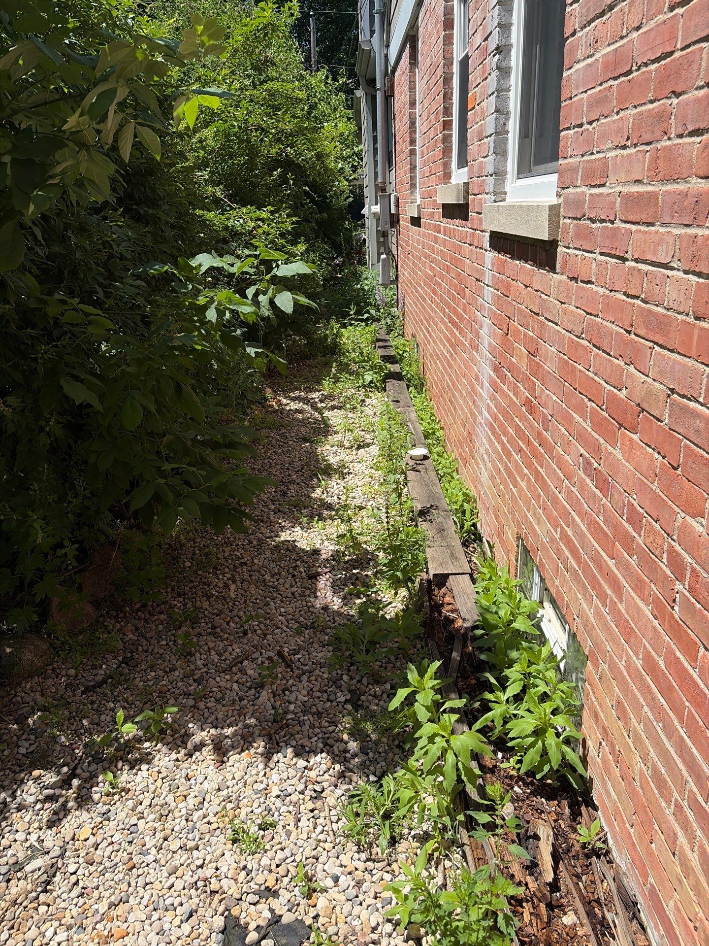 John H. - Mount Prospect, IL by A&N 