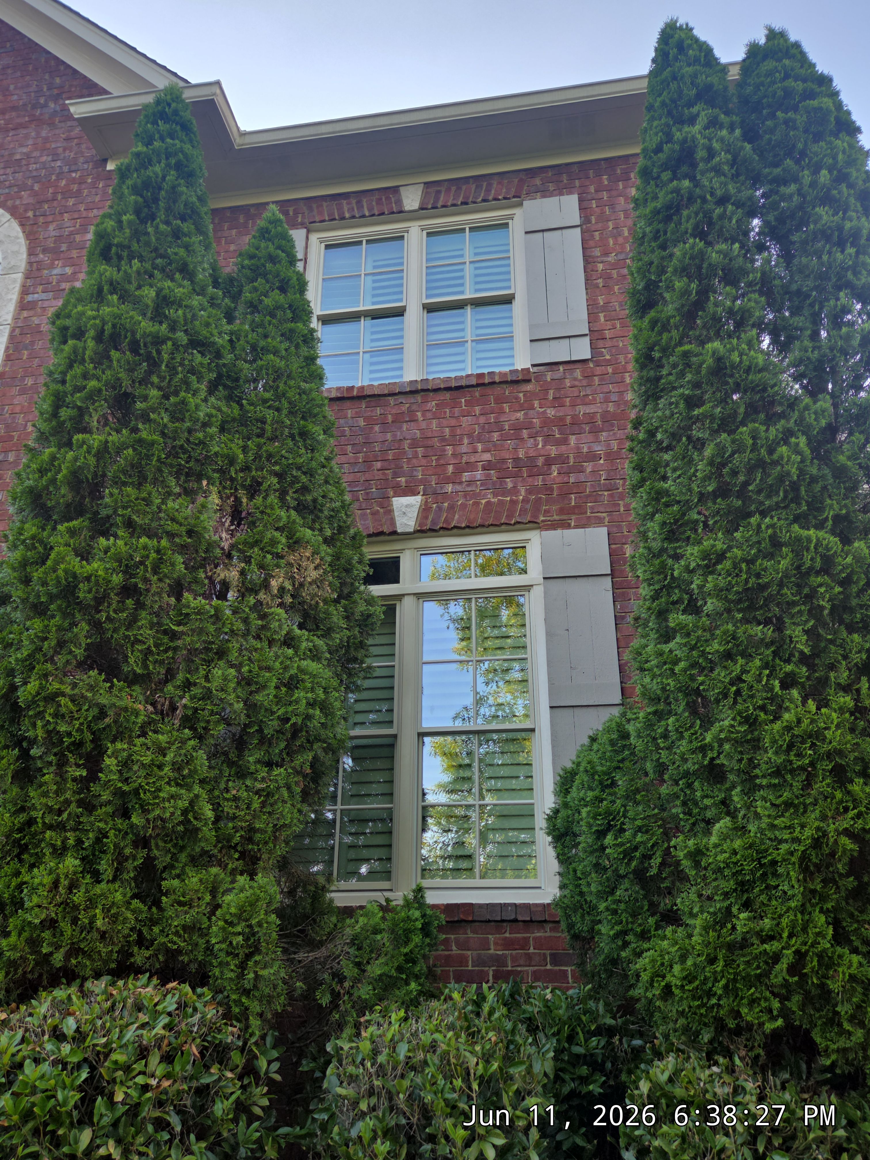 Zwiebel Project in Hoover by The Window Source