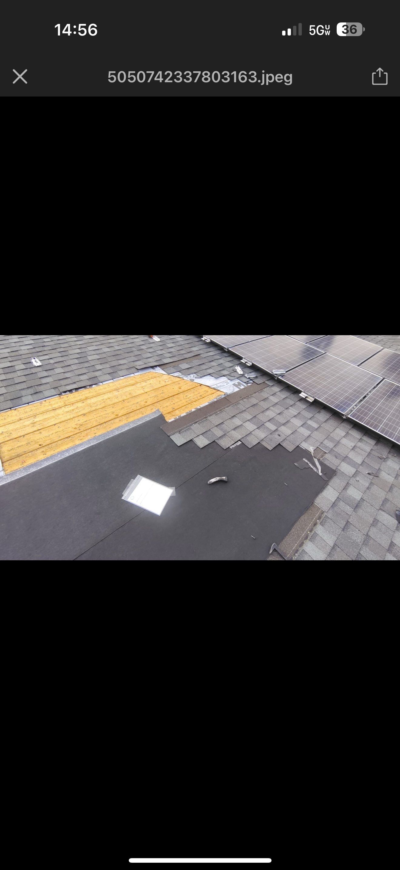 Silver Birch Shingles by Reimagine Roofing
