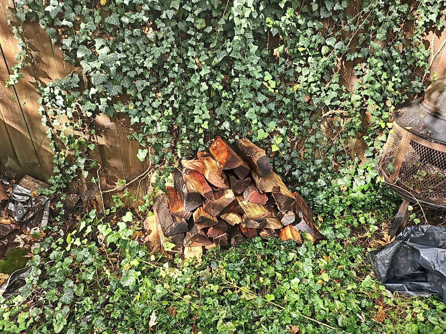 Firewood Delivery  using Seasoned Firewood by Mike Jones & Sons Tree Service LLC 