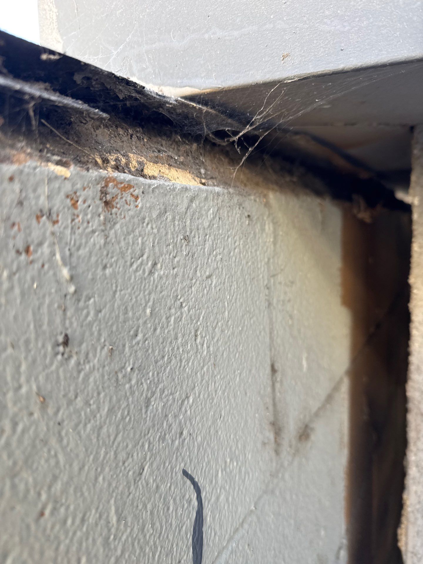 Leak Repairs for a Commercial Customer in WeHo by Hull Brothers Roofing