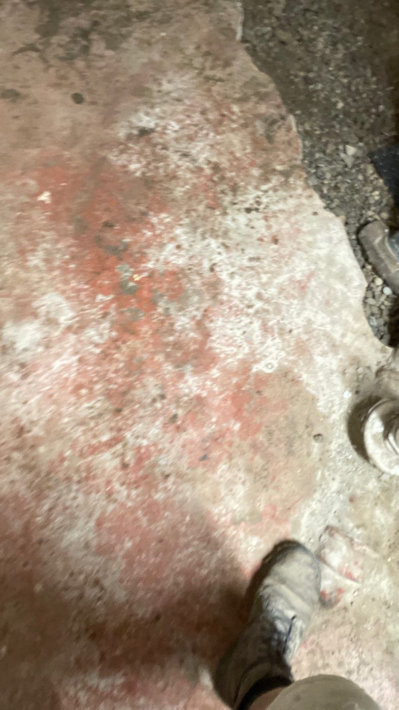 Full Basement Fix for Steve and Lisa by Waterproofing Northeast