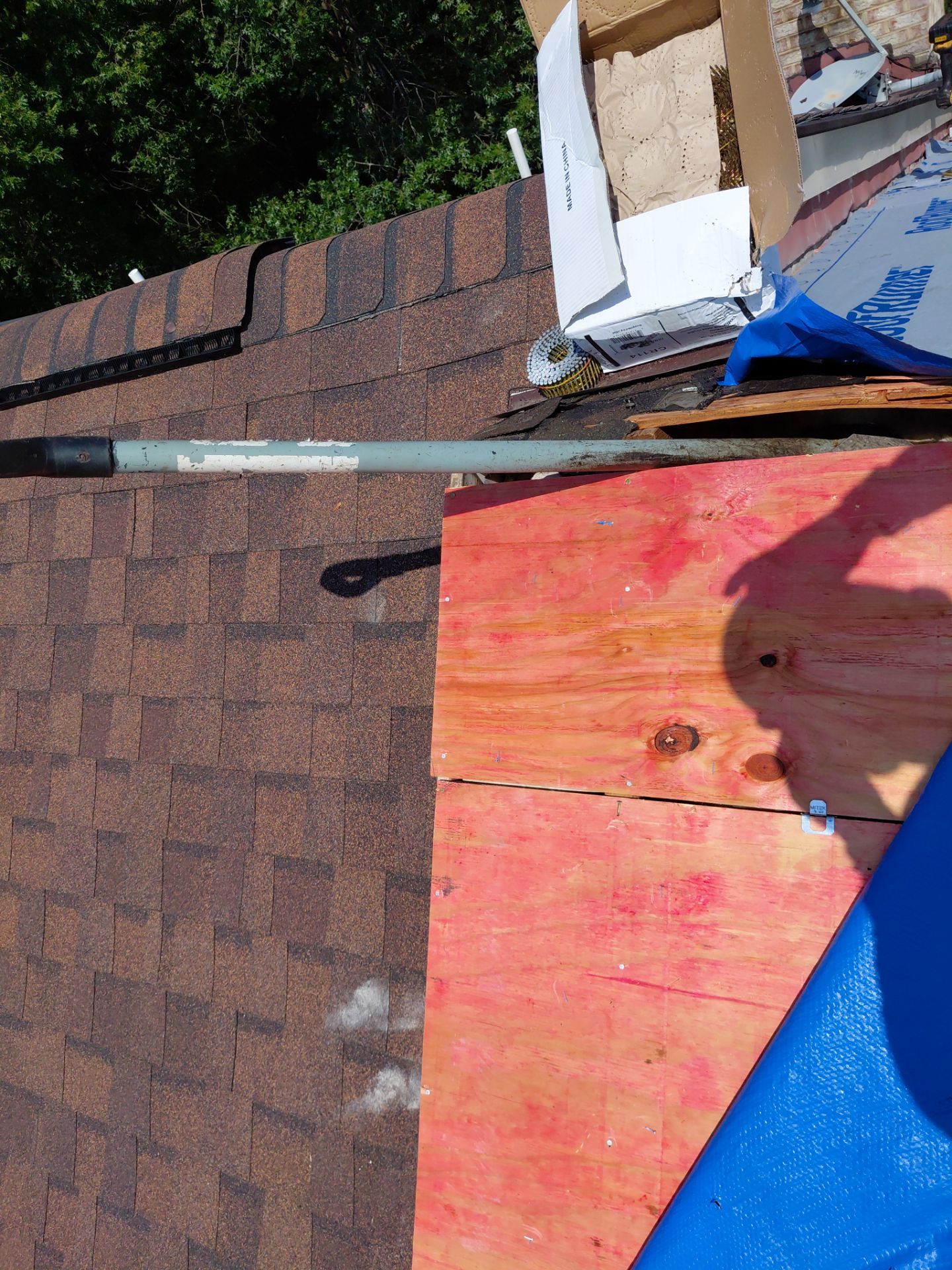 Alexandria: Residential Roof with CertainTeed Landmark Pro in Max Def Burnt Sienna by RM Banning, Inc.