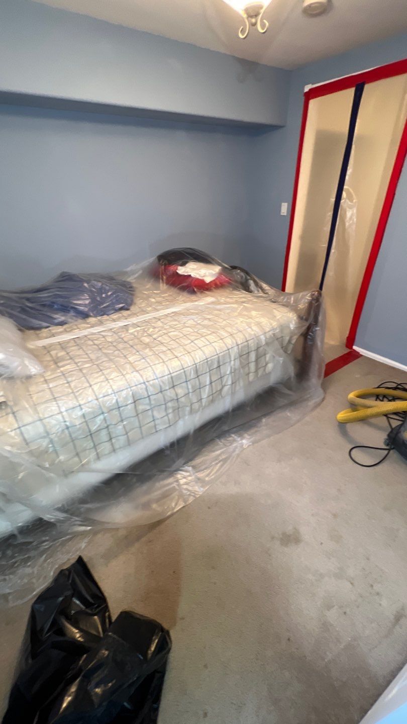 Mold Remediation by Accountable Home Services