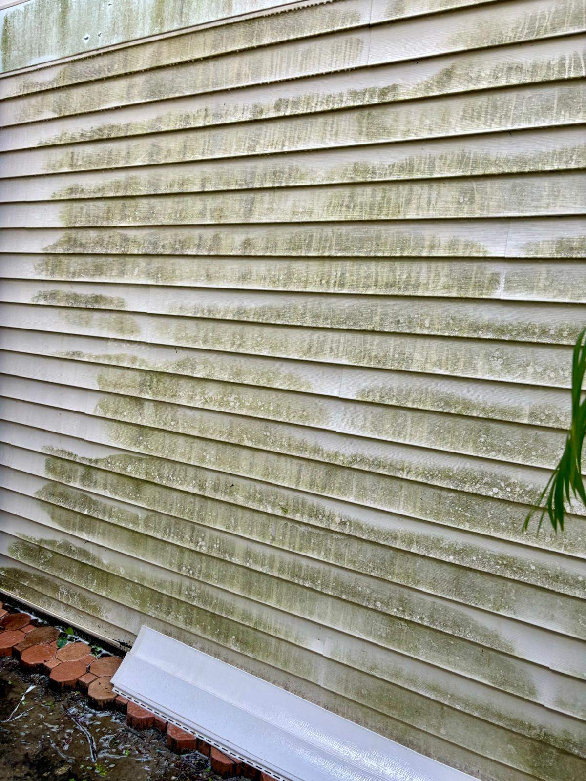 Residential Pressure Washing by DPI Pressure Washing LLC