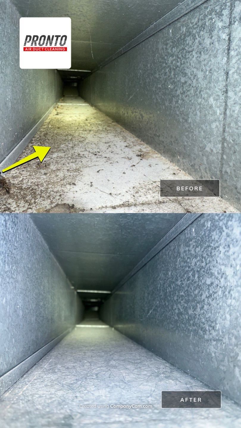 Air duct cleaning using Commercial vaccum by Pronto Air Duct Cleaning
