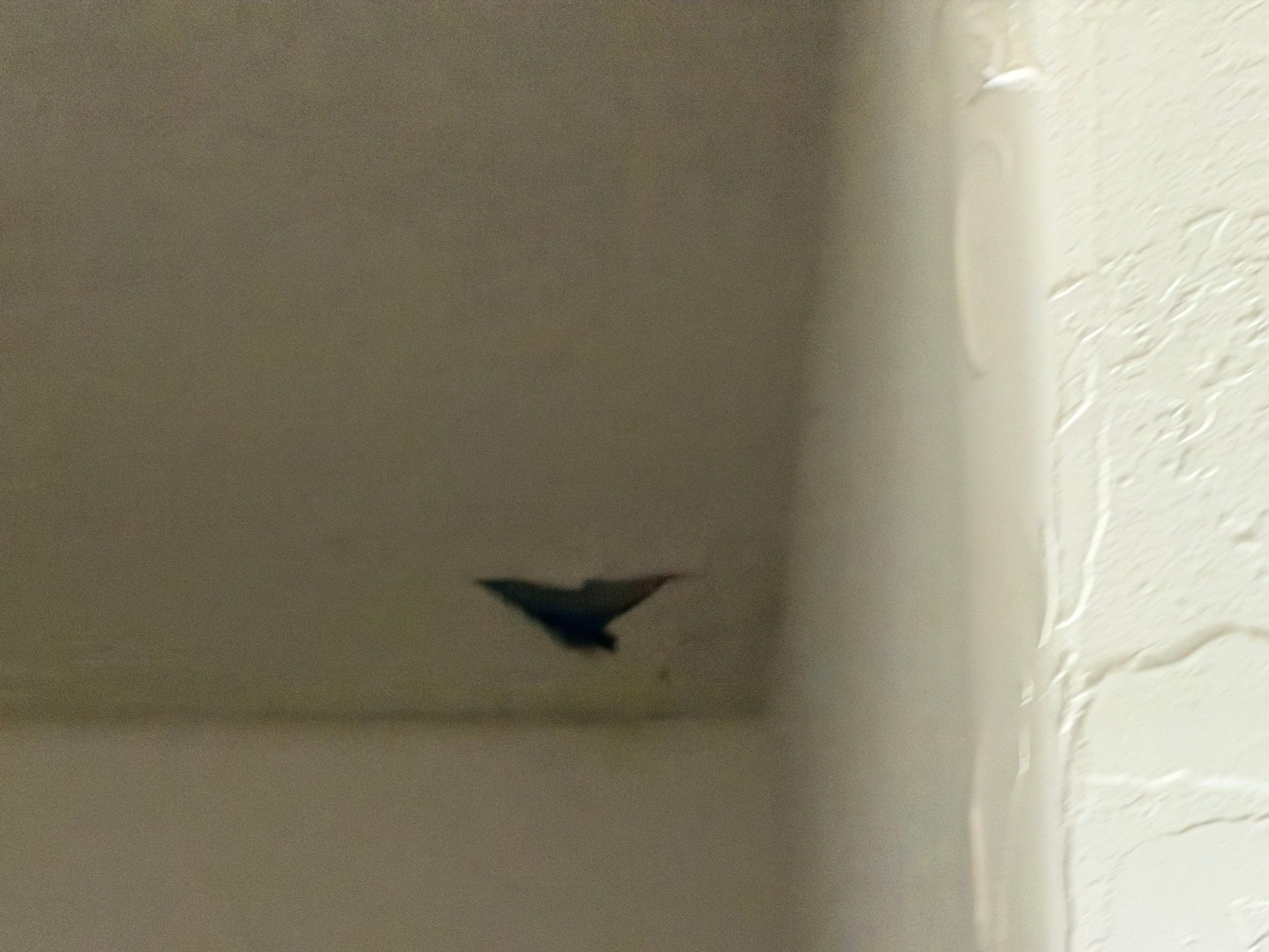 Roof & Solar Reinstallation by Grandmark Service Company