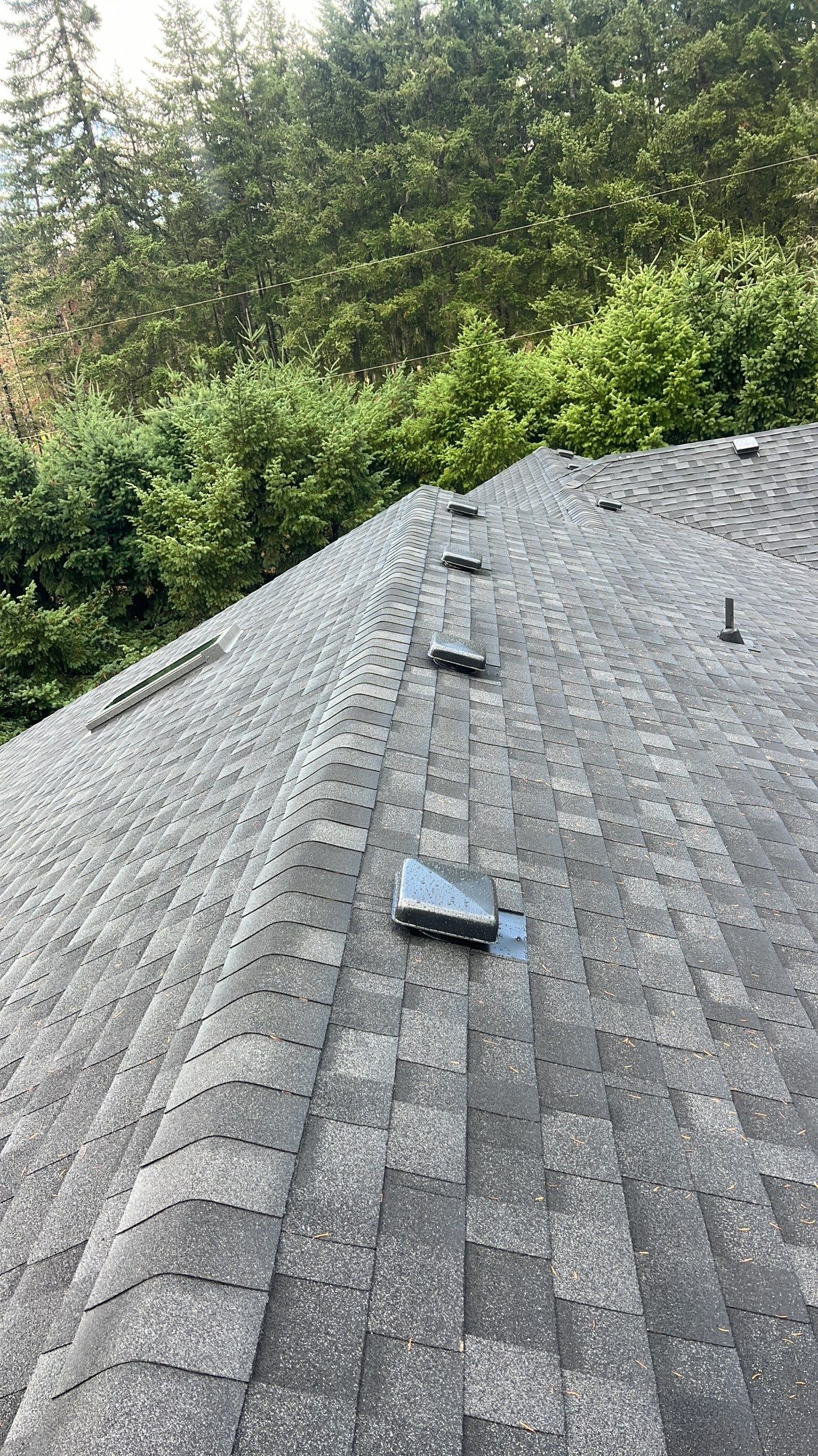 Residential Roofing Installation using IKO Dynasty (Color: Granite Black) by Orezona Building & Roofing Company, Inc.