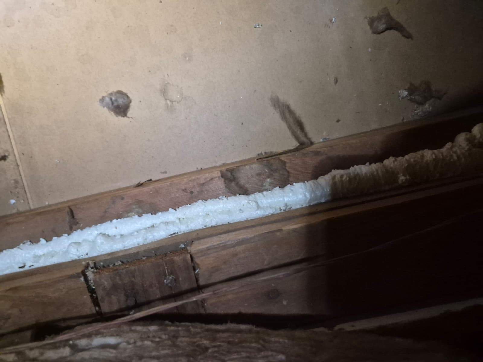 Project by Advanced Attic Solutions by Advanced Attic Solutions