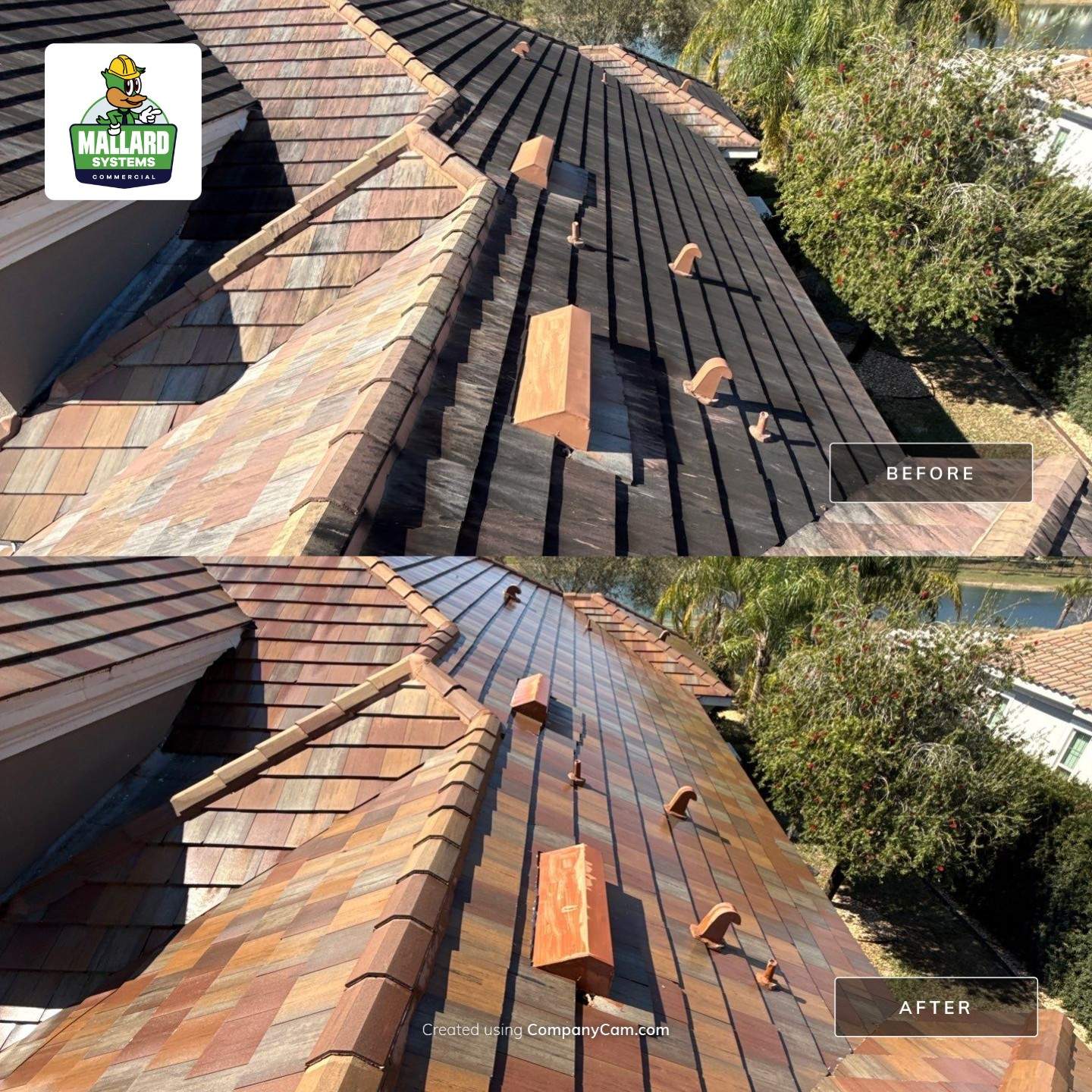 Flat Tile Roof Cleaning by Mallard Systems