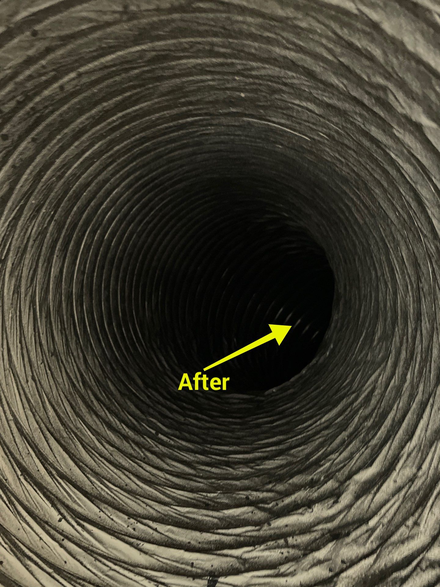 Air Duct Cleaning in Bartow by Hygienic Air, Inc