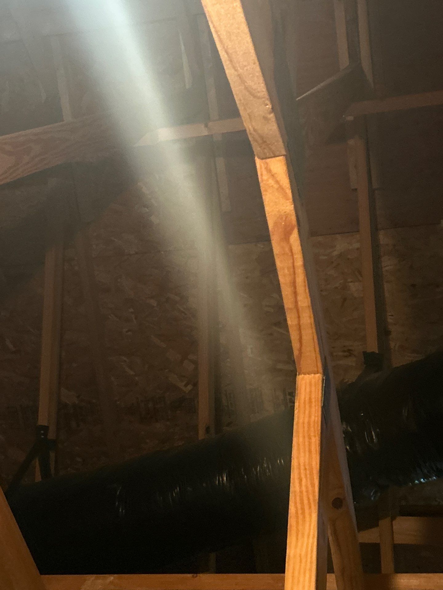 Lorton: Residential Roof Replacement with CertainTeed Landmark in Colonial Slate by RM Banning, Inc.