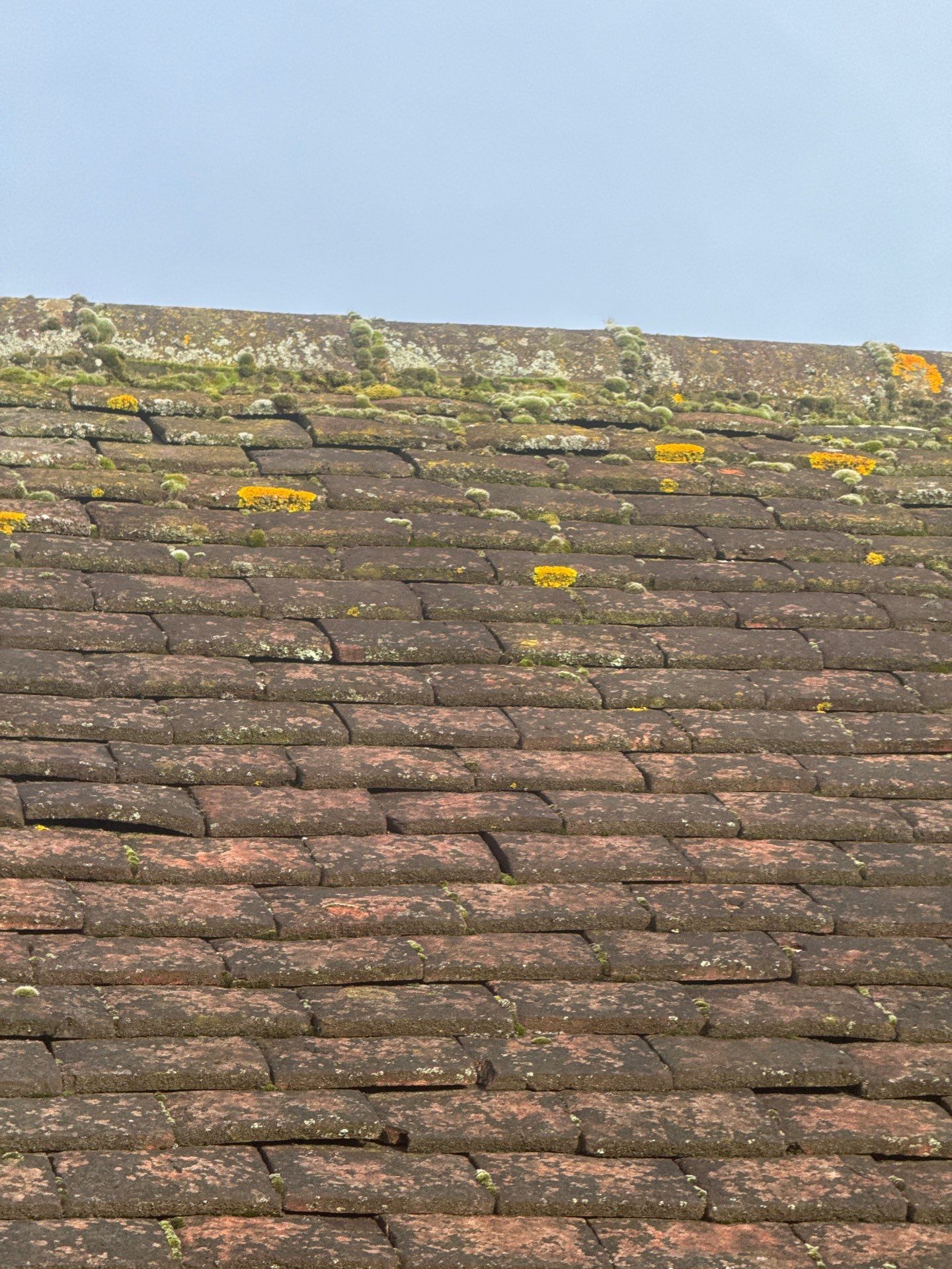 Exterior Clean - Roof - Patio - Driveway using Mosmatic FSC and Biocide by Ges Exterior Cleaning ltd