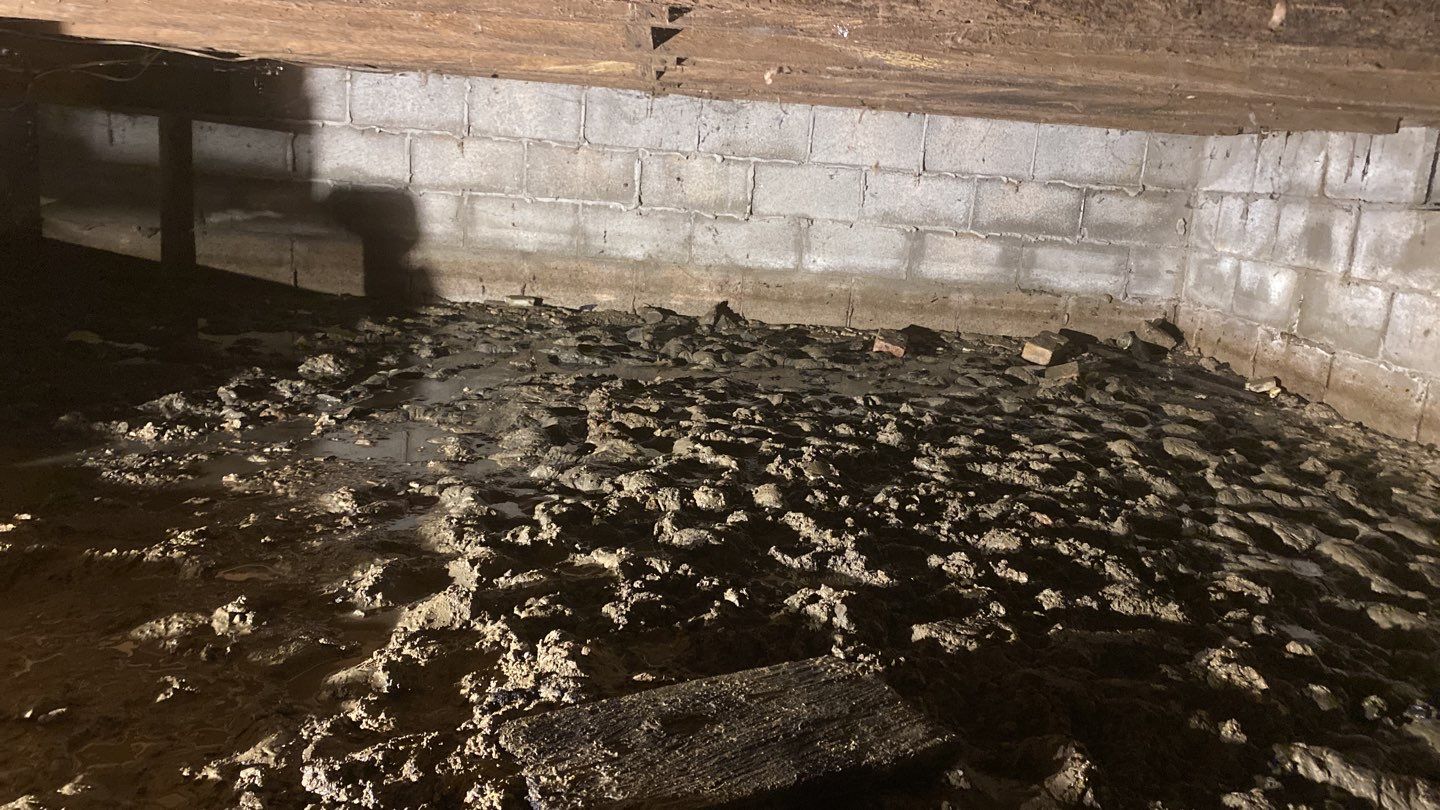 Crawl space encapsulation and Waterproofing using GrateDrain Waterproofing System by Toledo Basement Repair 