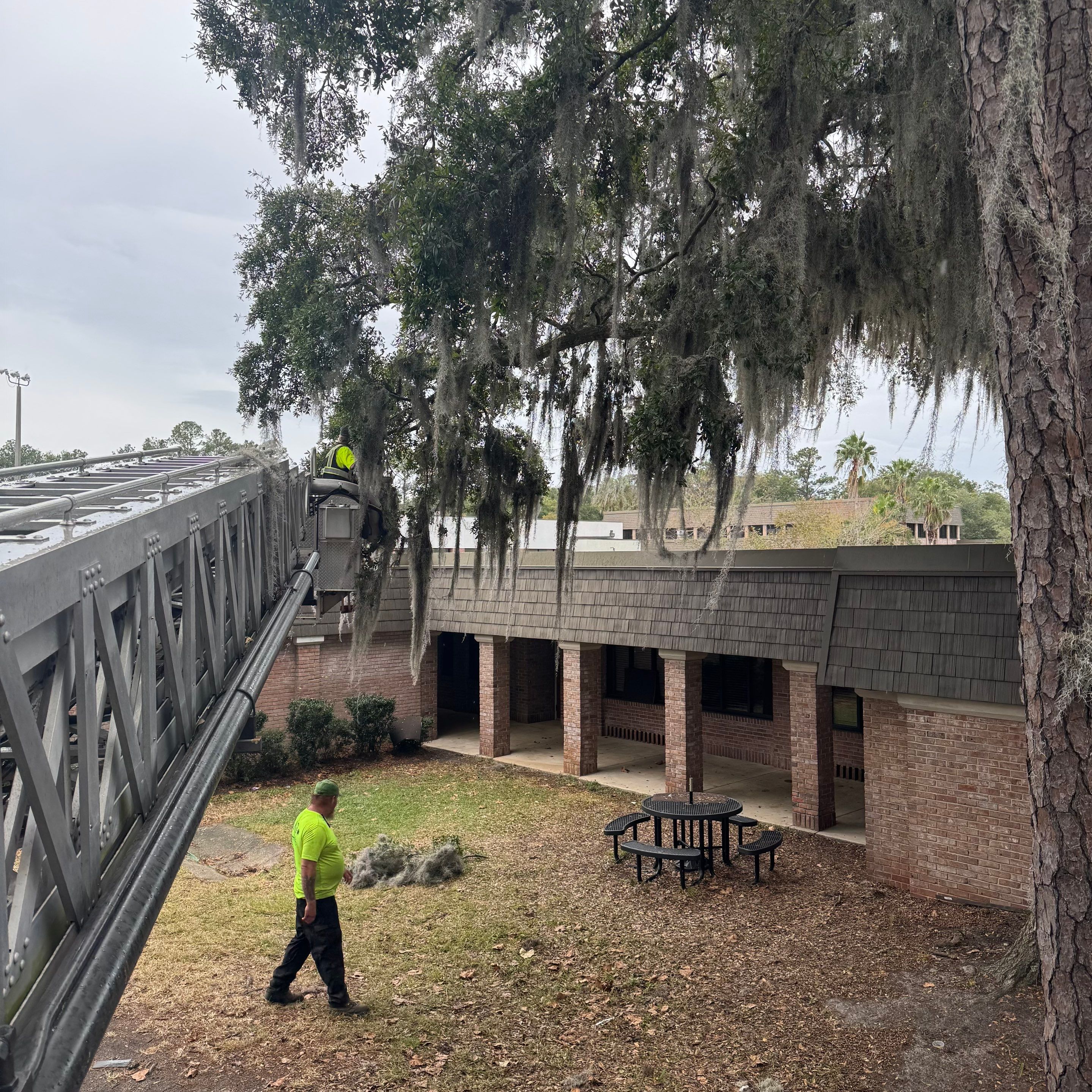 Volunteer Work | Episcopal High School of Jacksonville by ProGreen Services