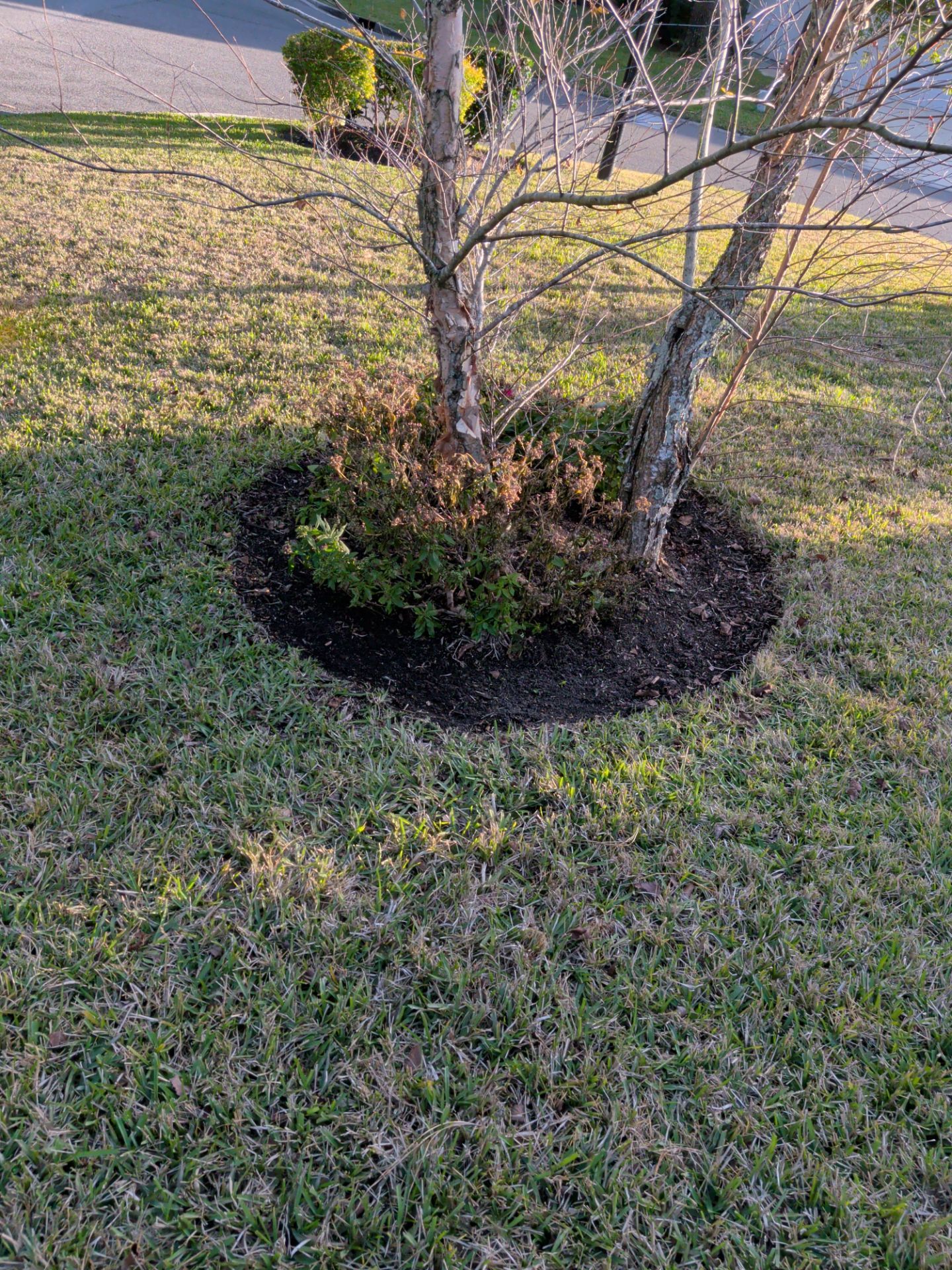 Flower Bed Cleanup & Mulch Preparation — Jacksonville Beach by Harmoni Home Services