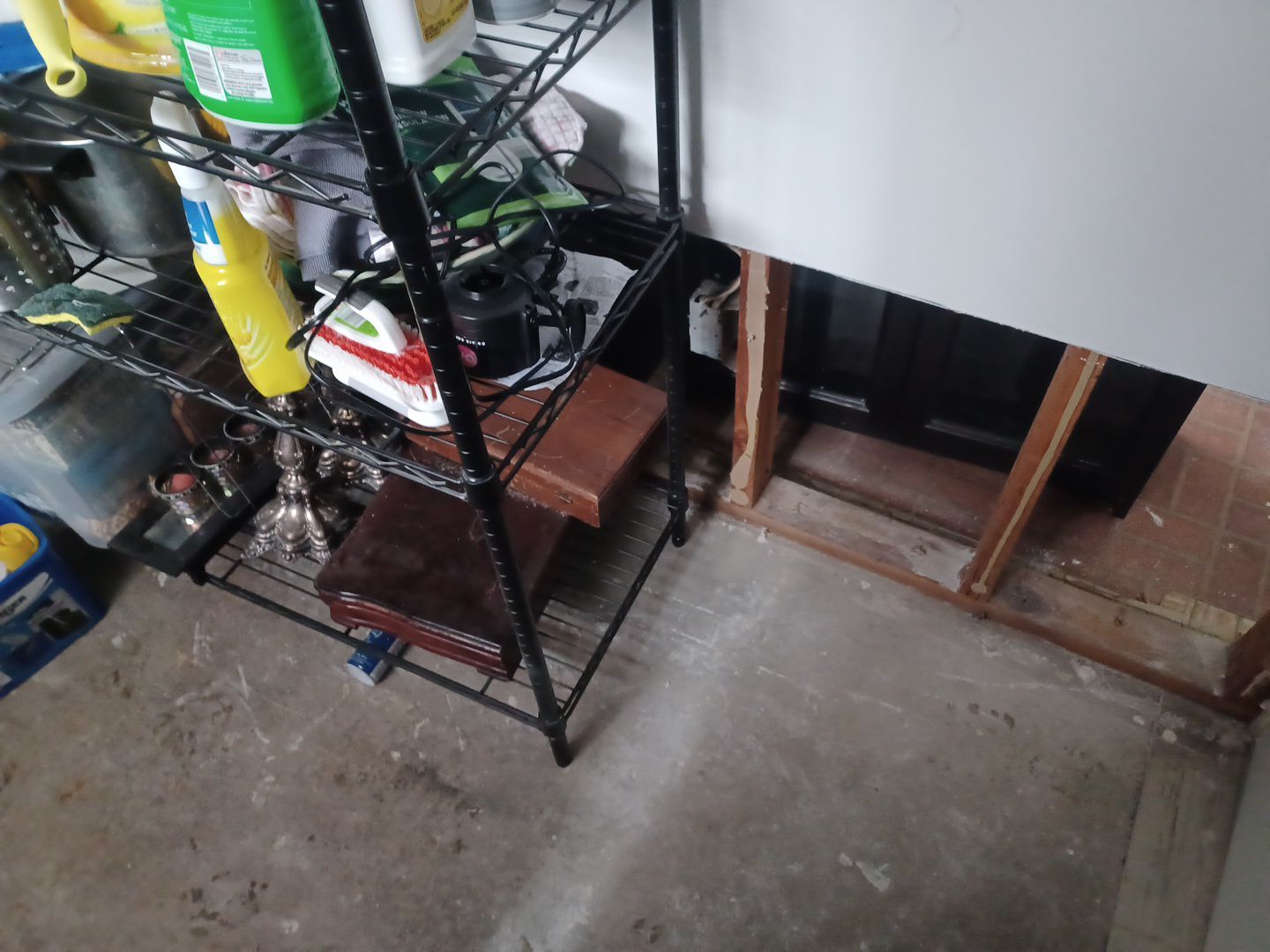 Project in Royal Oak by EzDry Water Mitigation & Property Restoration