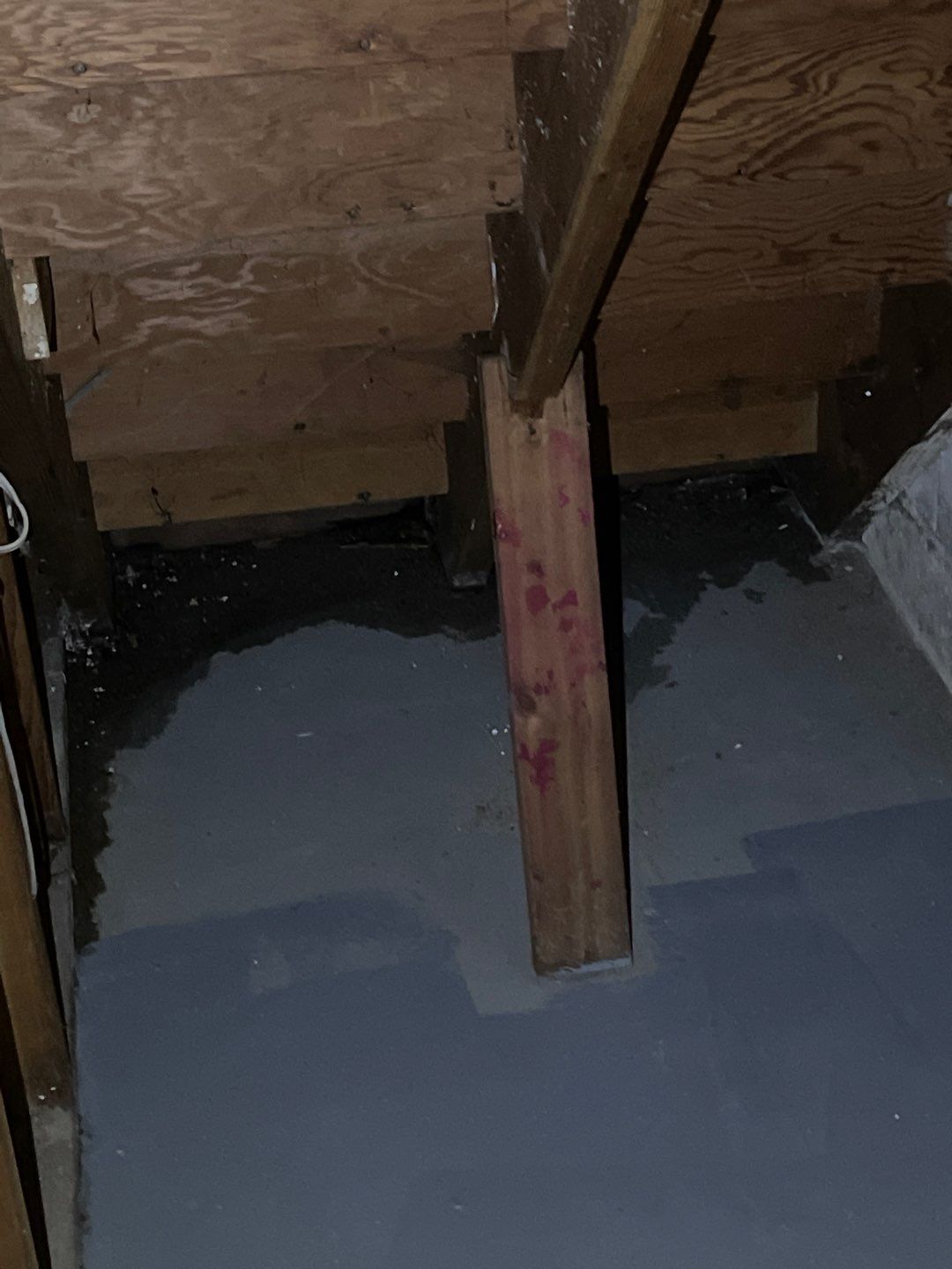 Custom Dual Sump System for Maggie by Waterproofing Northeast