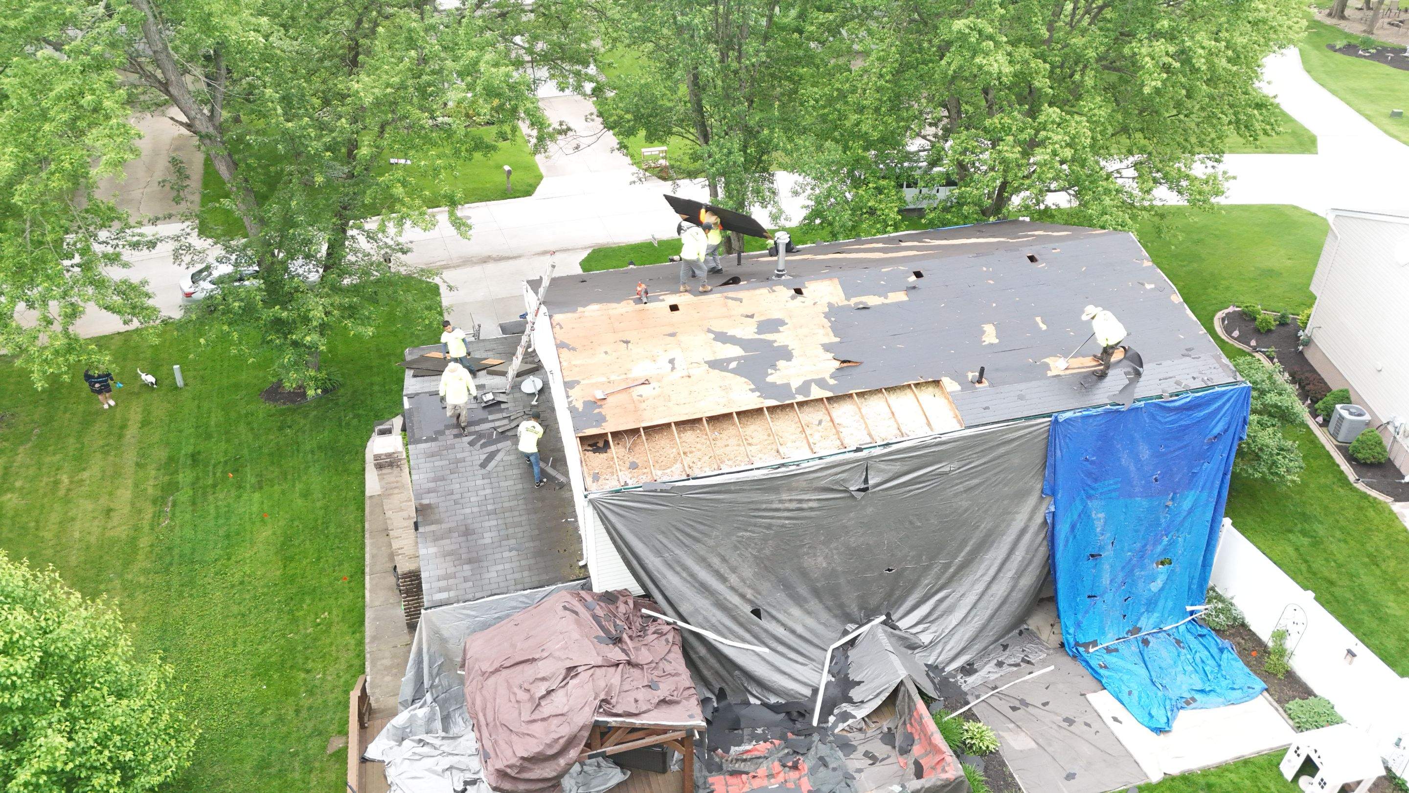 Roof, Siding, & Gutters by Absolute Roofing and Construction