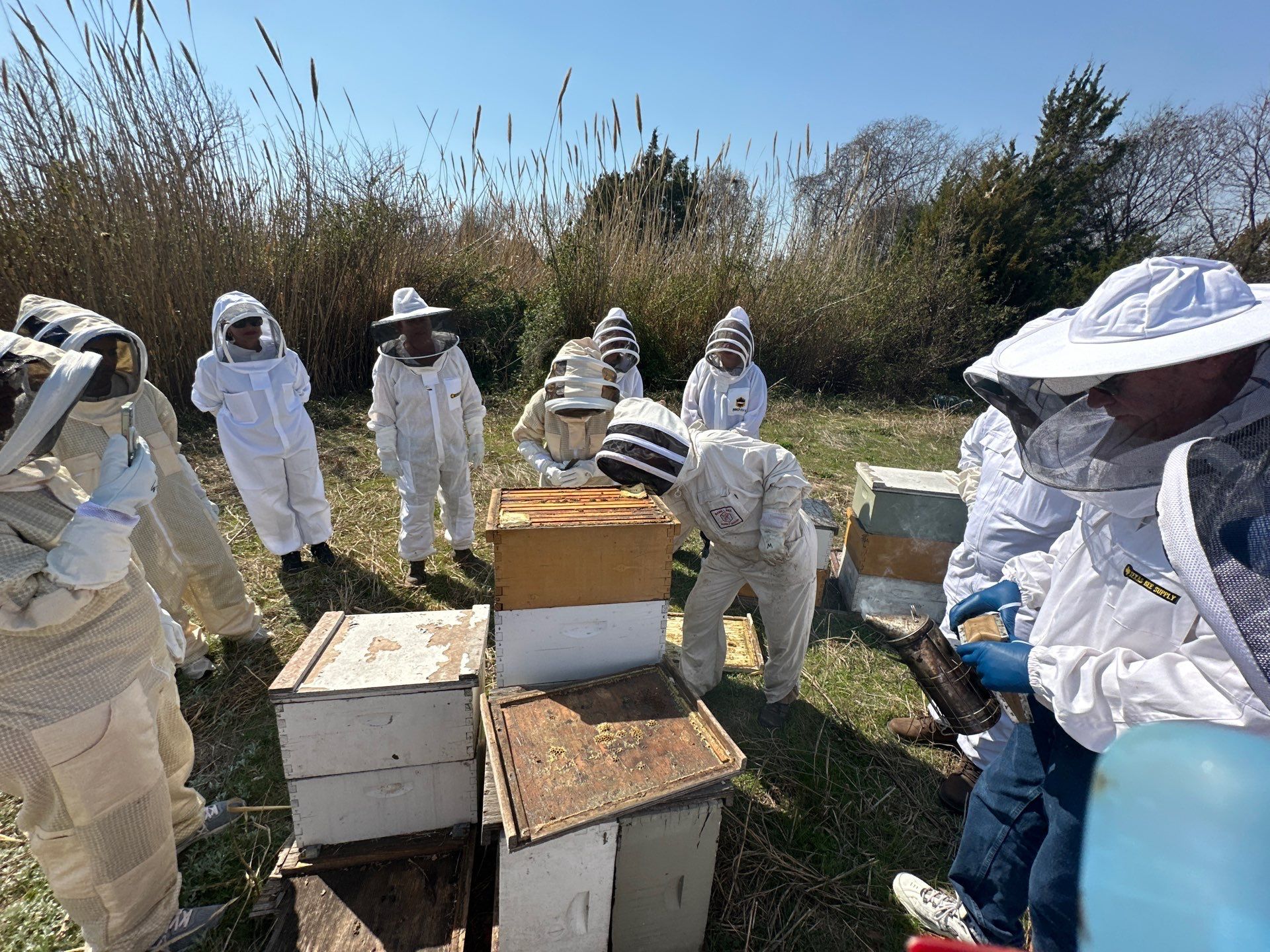 Teaching at an Apiary in Rowlett by Rockwall Honey Bee Company