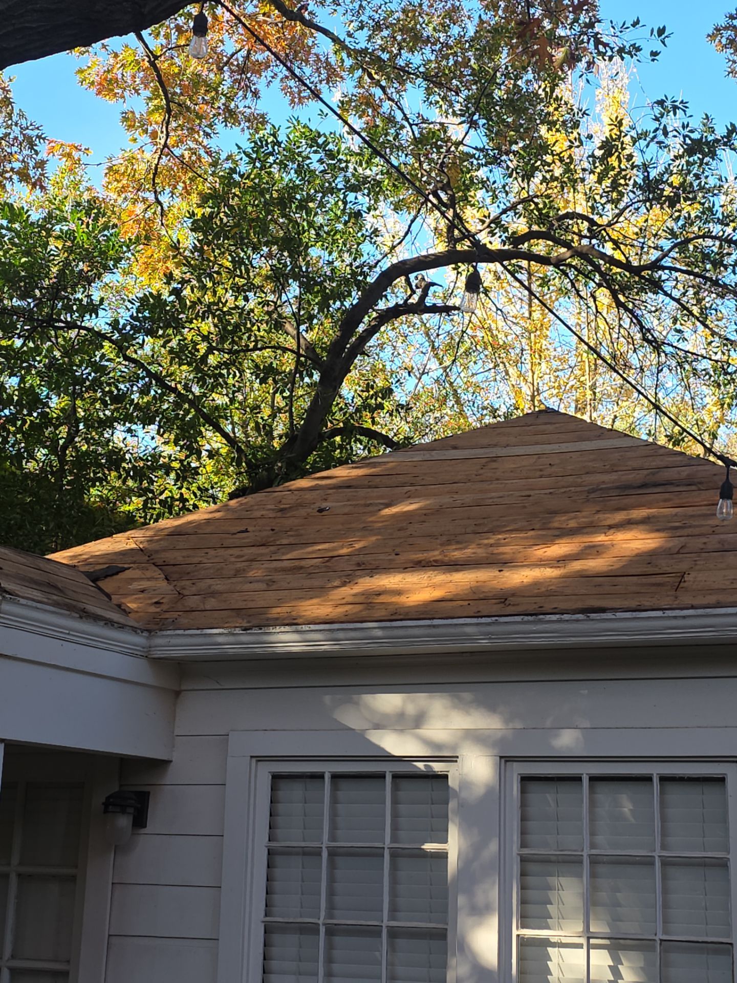 Project in Dallas by Armor Roofing | Exteriors