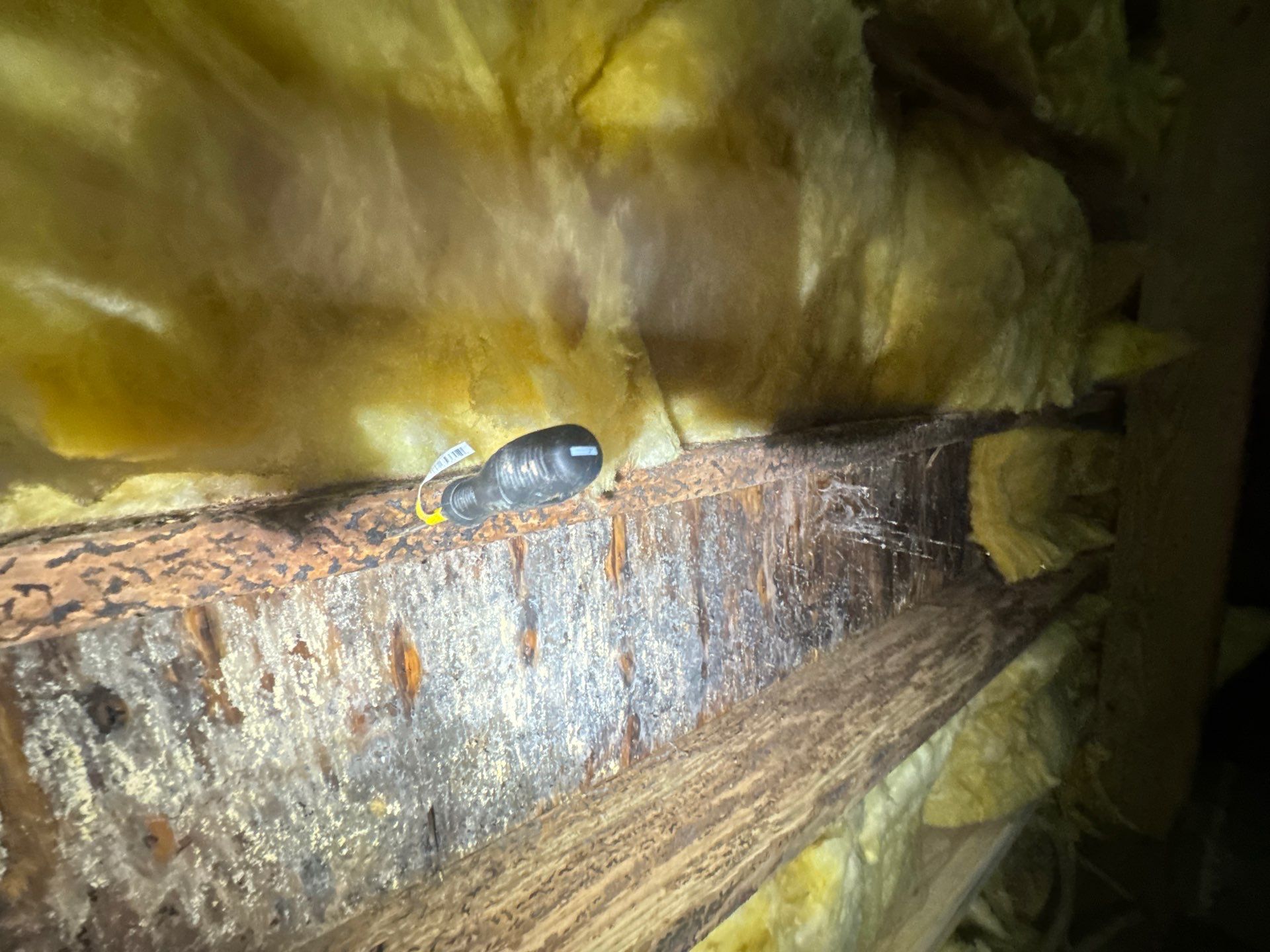 Project in Suffolk by Patriot Crawl Space Repairs