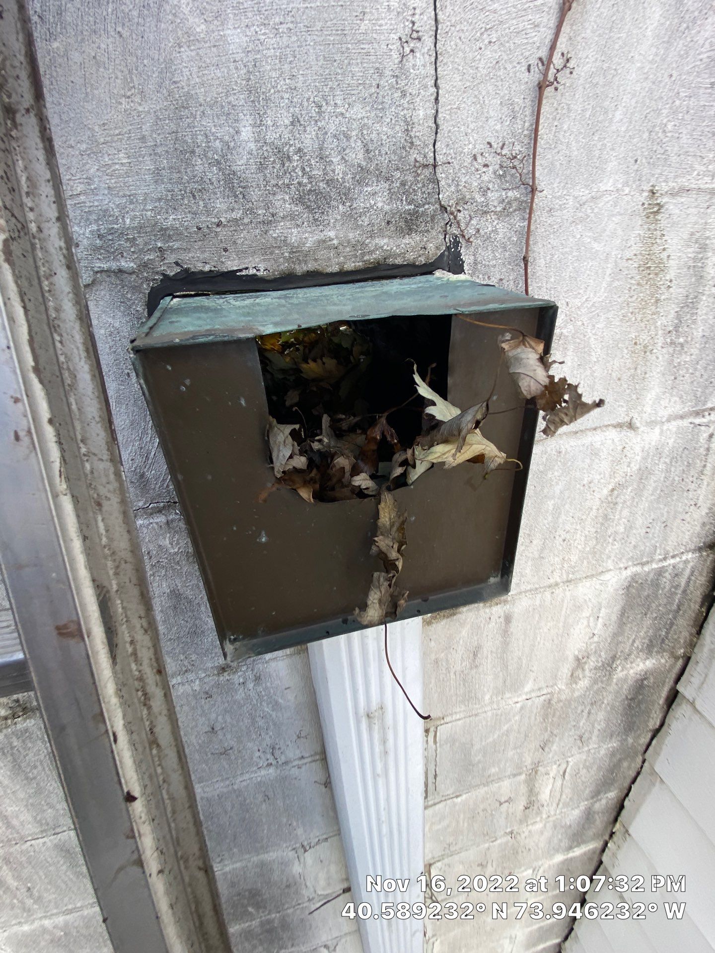 Flat Roof Cleanup Brooklyn by Above All Gutters