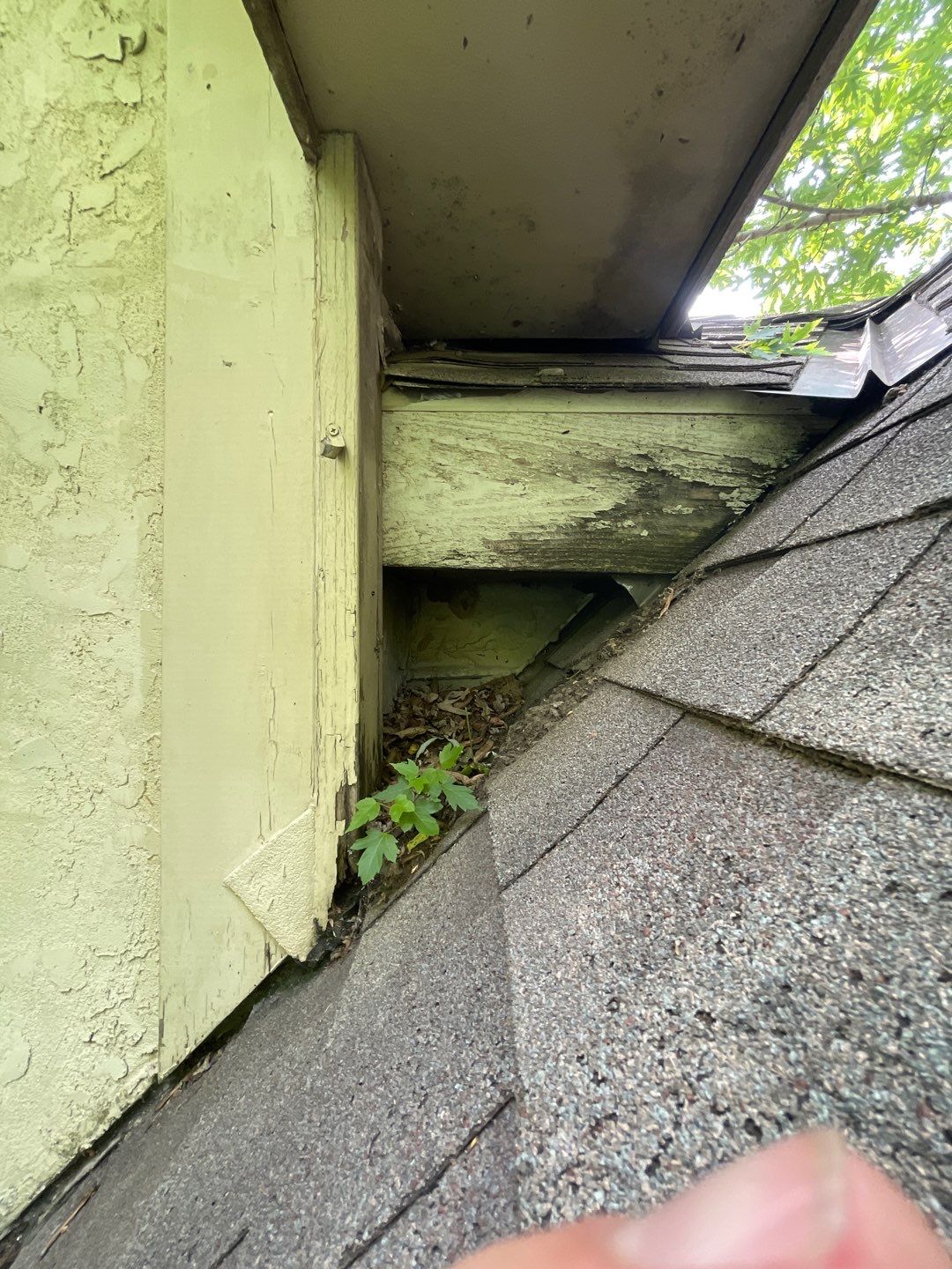 Complete Home Makeover  by EEC  Windows, Siding & Roofing 