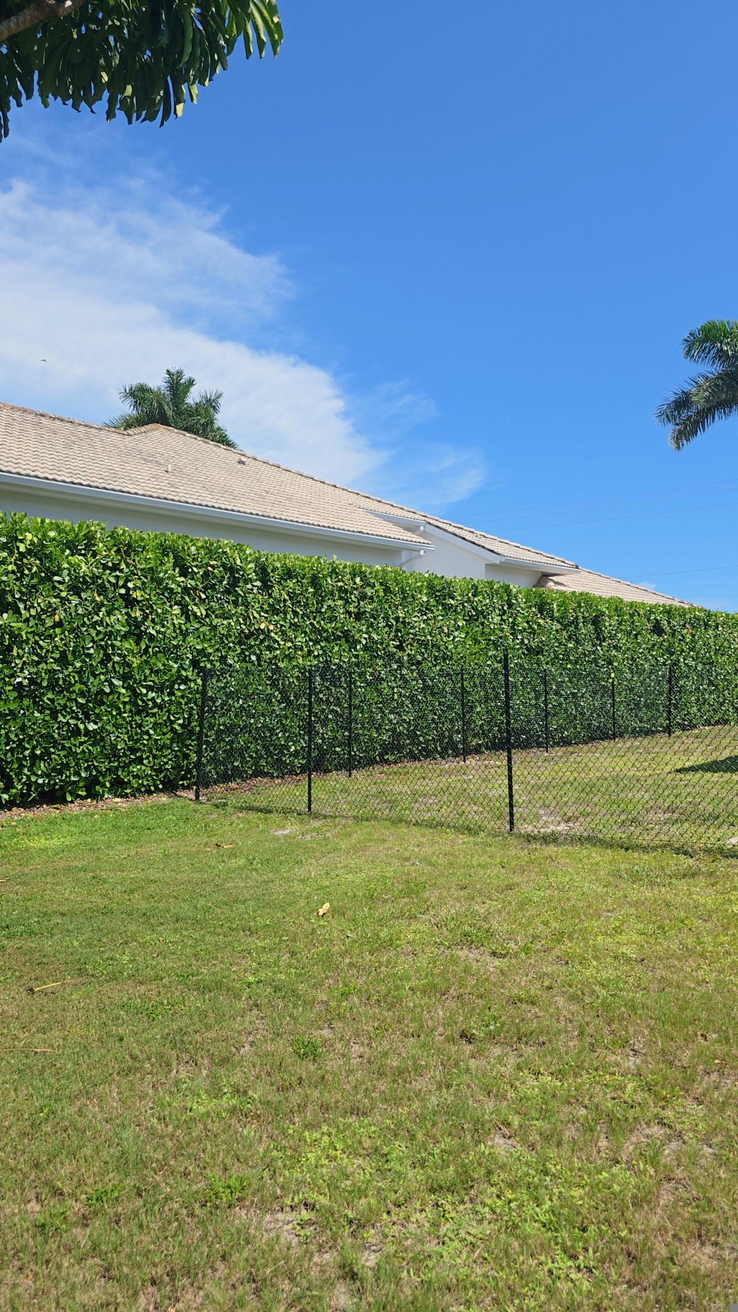 Black Aluminum Picket Fence Installation in Marco Island by True Fence LLC