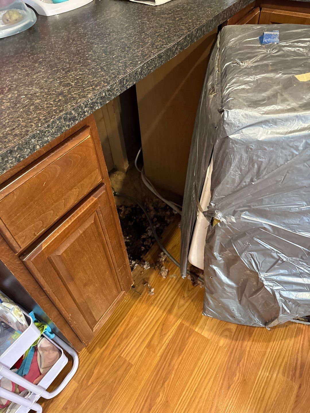 Project in Troy by EzDry Water Mitigation & Property Restoration