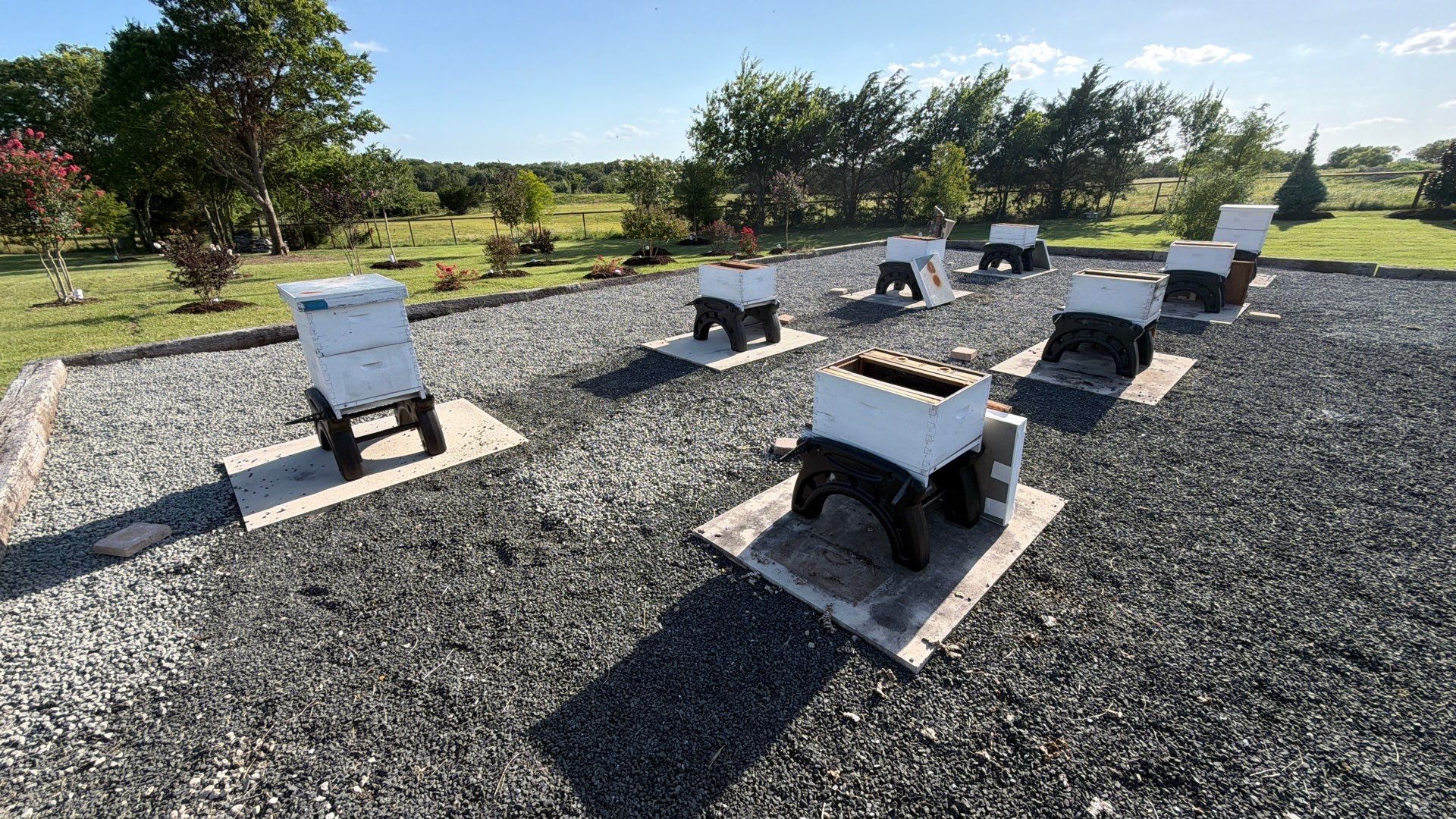 Momma K’s apiary by Rockwall Honey Bee Company