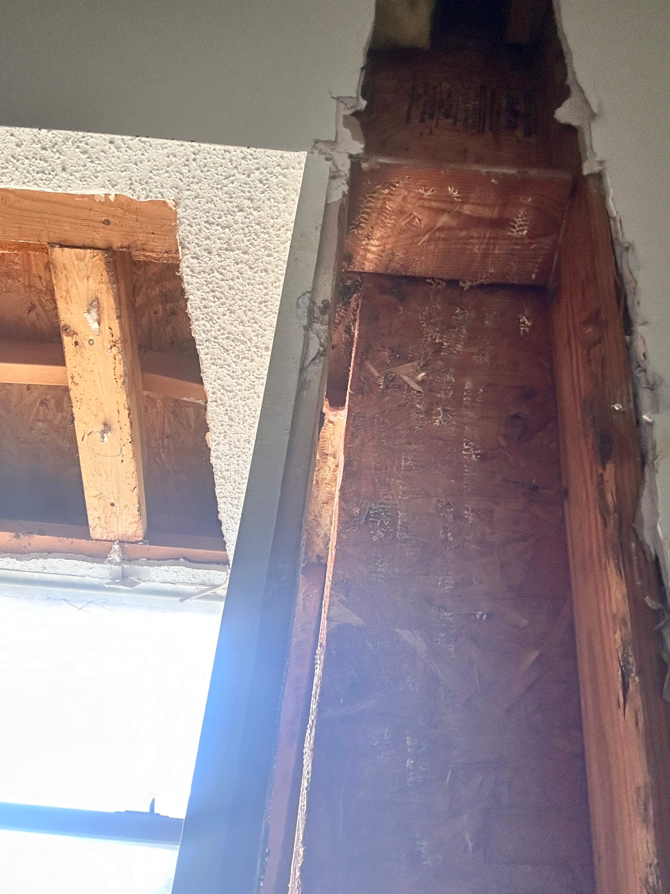 Sheetrock Bees by Rockwall Honey Bee Company