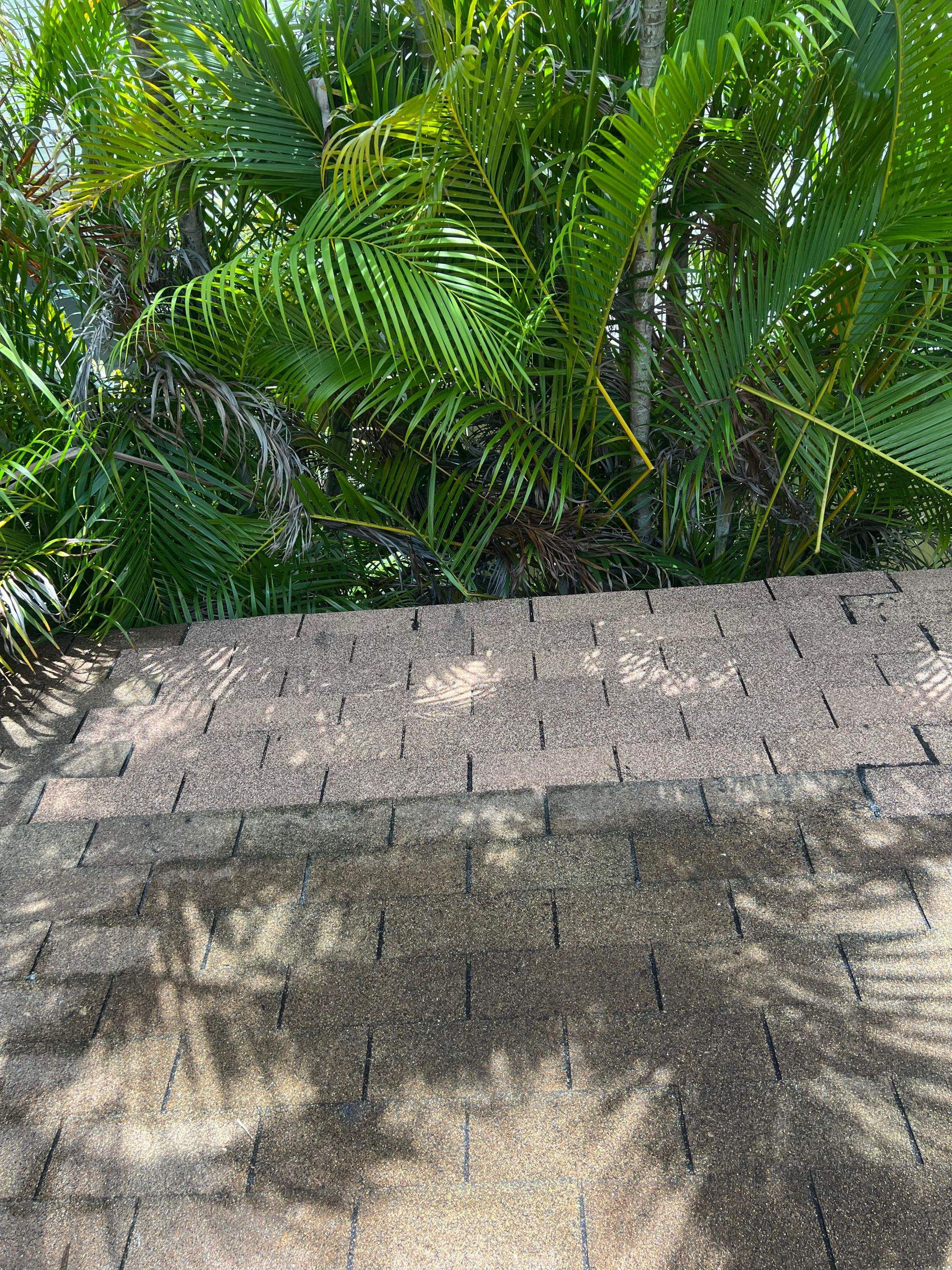 Project in North Miami Beach by Silverline Roofing