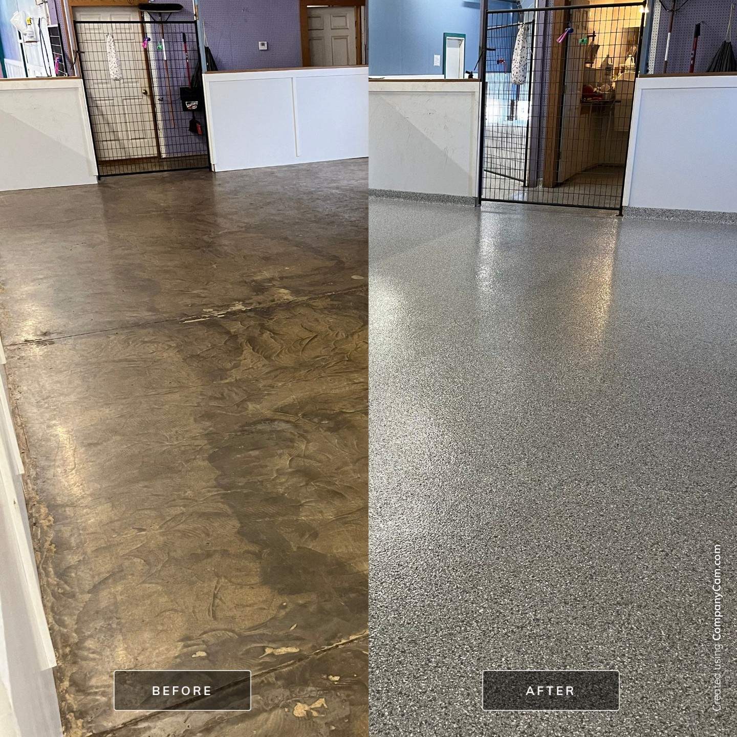Doggy Daycare Refresh! by Revival Concrete Coatings