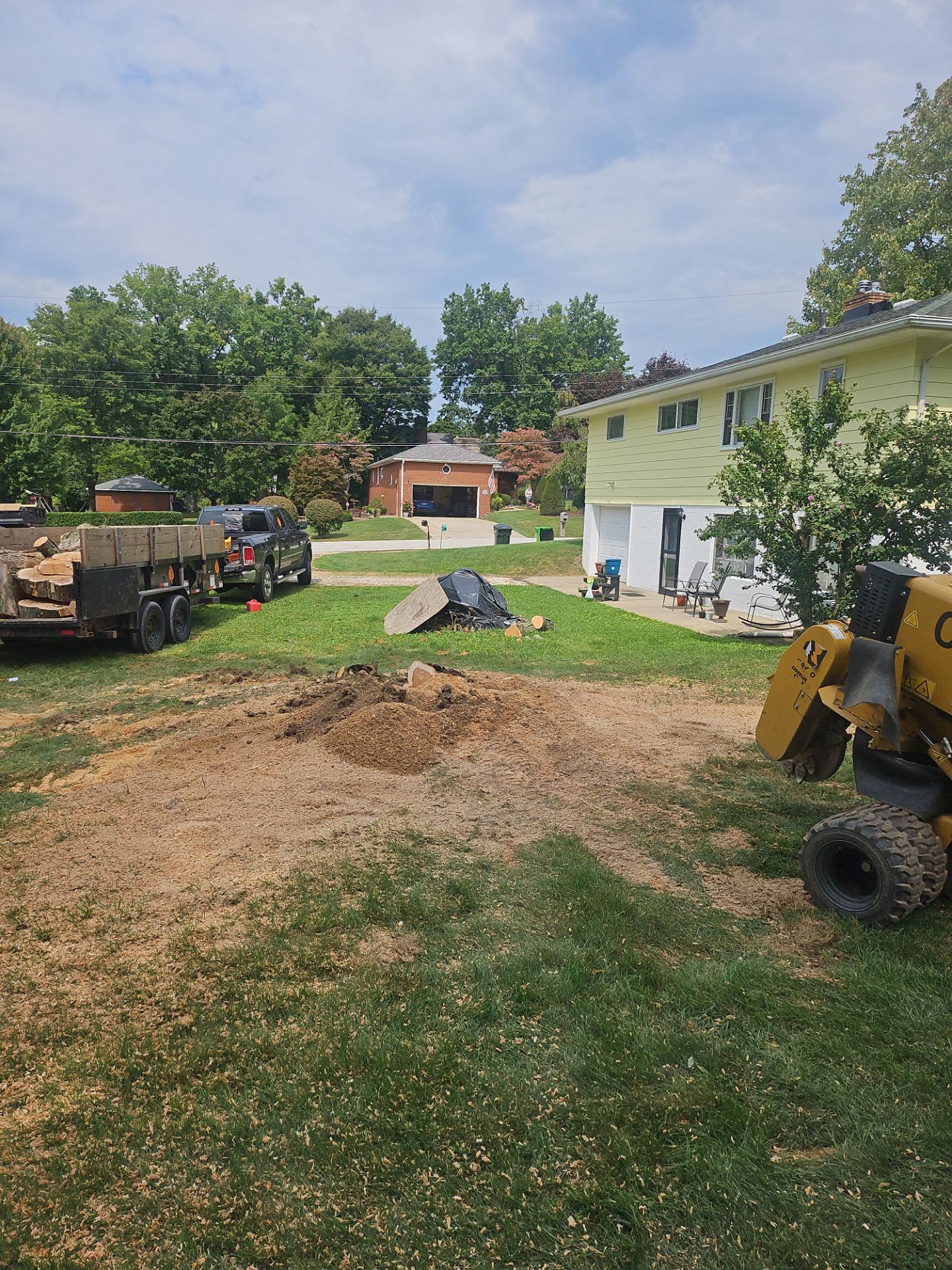 Tree Removal using Tree Removal by Mike Jones & Sons Tree Service LLC 