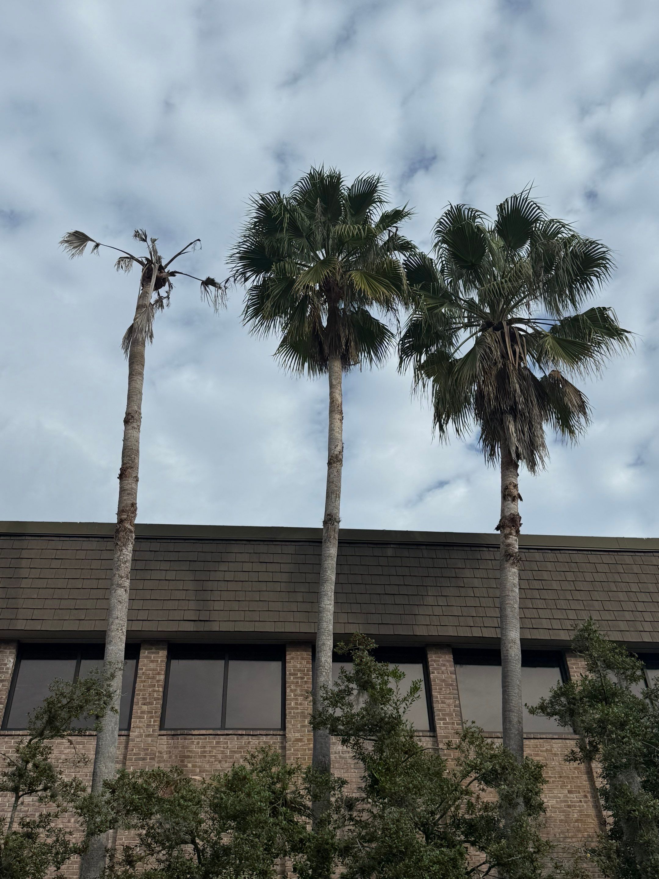 Volunteer Work | Episcopal High School of Jacksonville by ProGreen Services