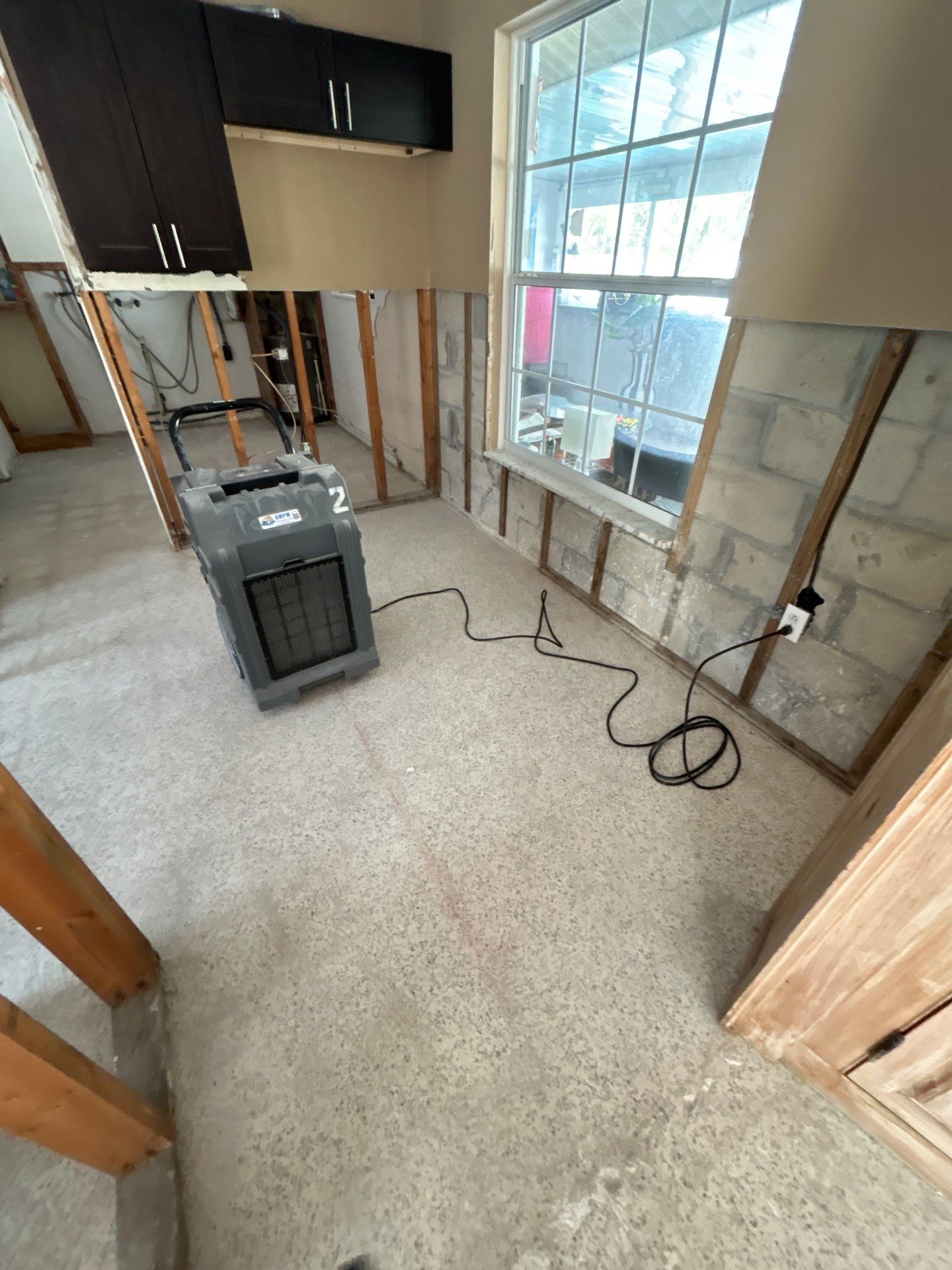 Mold Remediation + Reconstruction Bradenton by Ampm Restoration Services 
