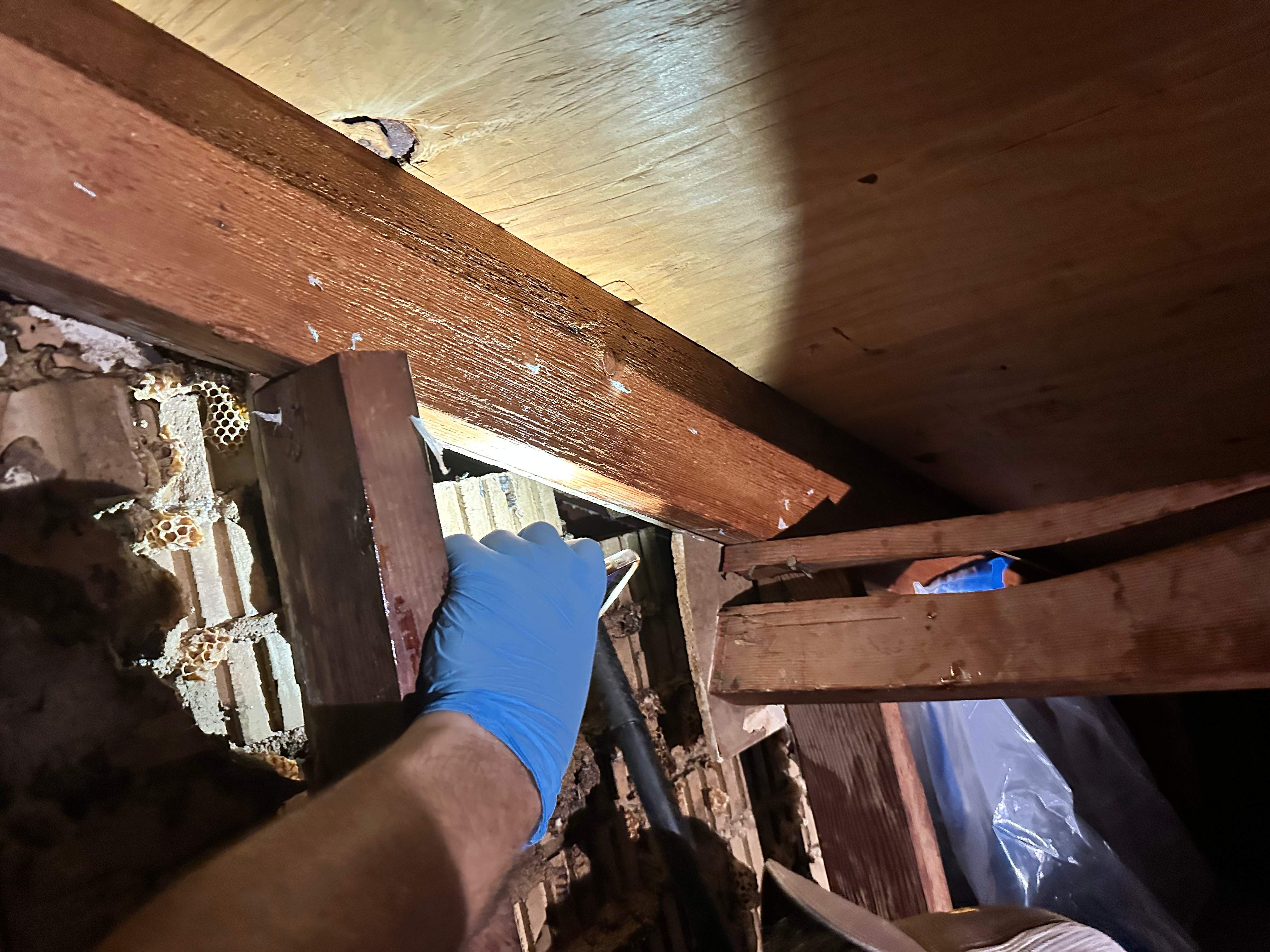 Red Light Attic by Rockwall Honey Bee Company